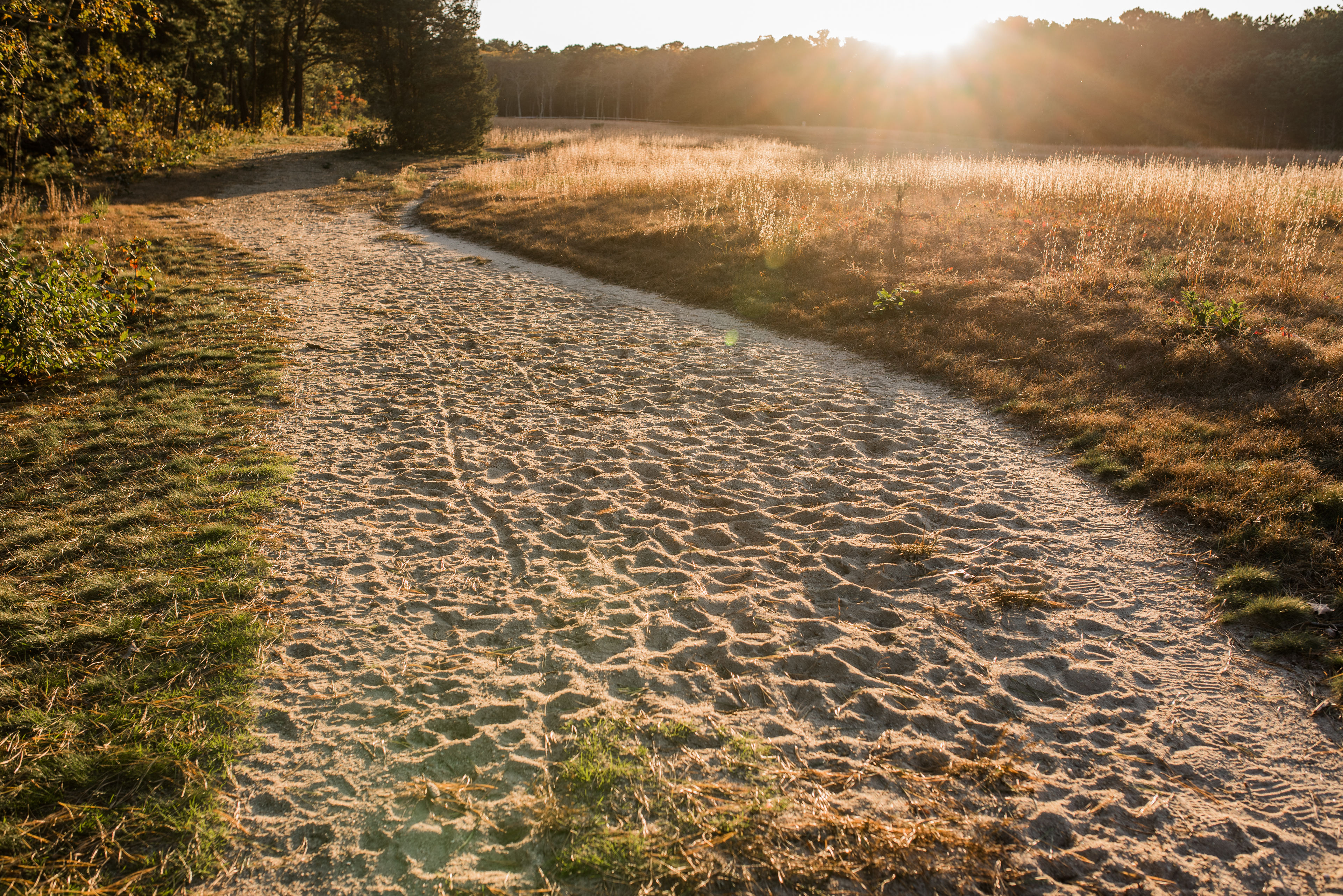 sandy path