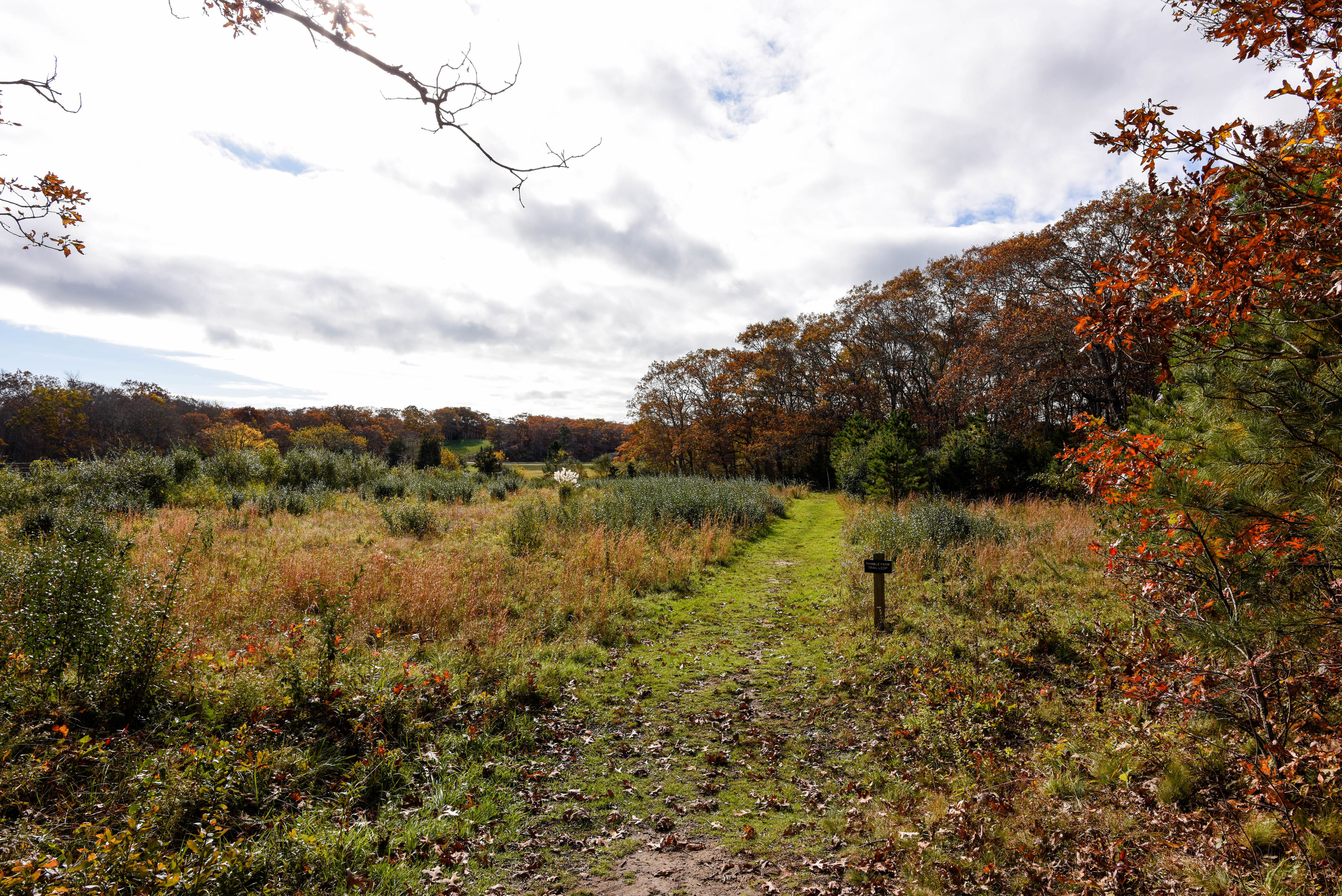 field trail