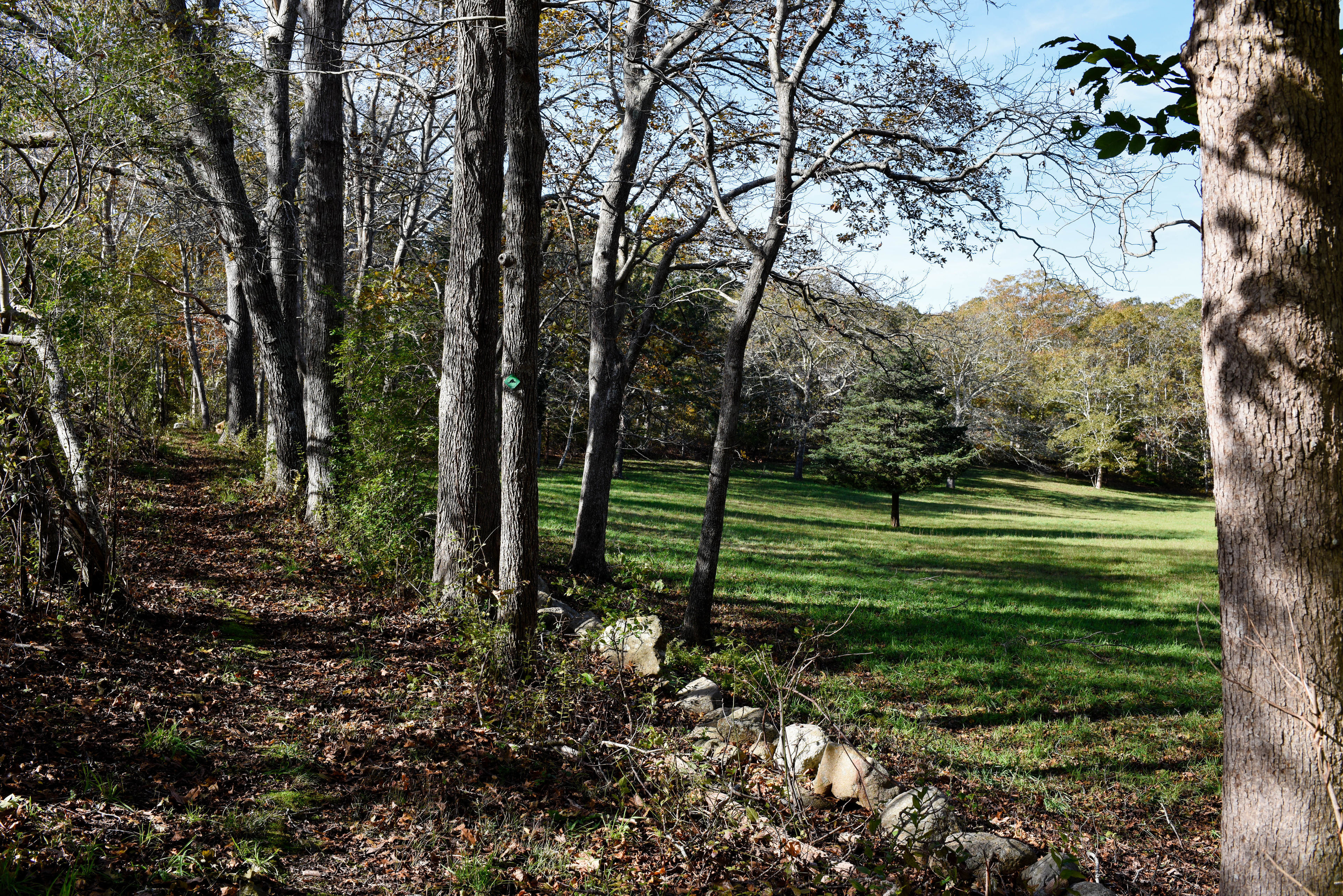 trail by field