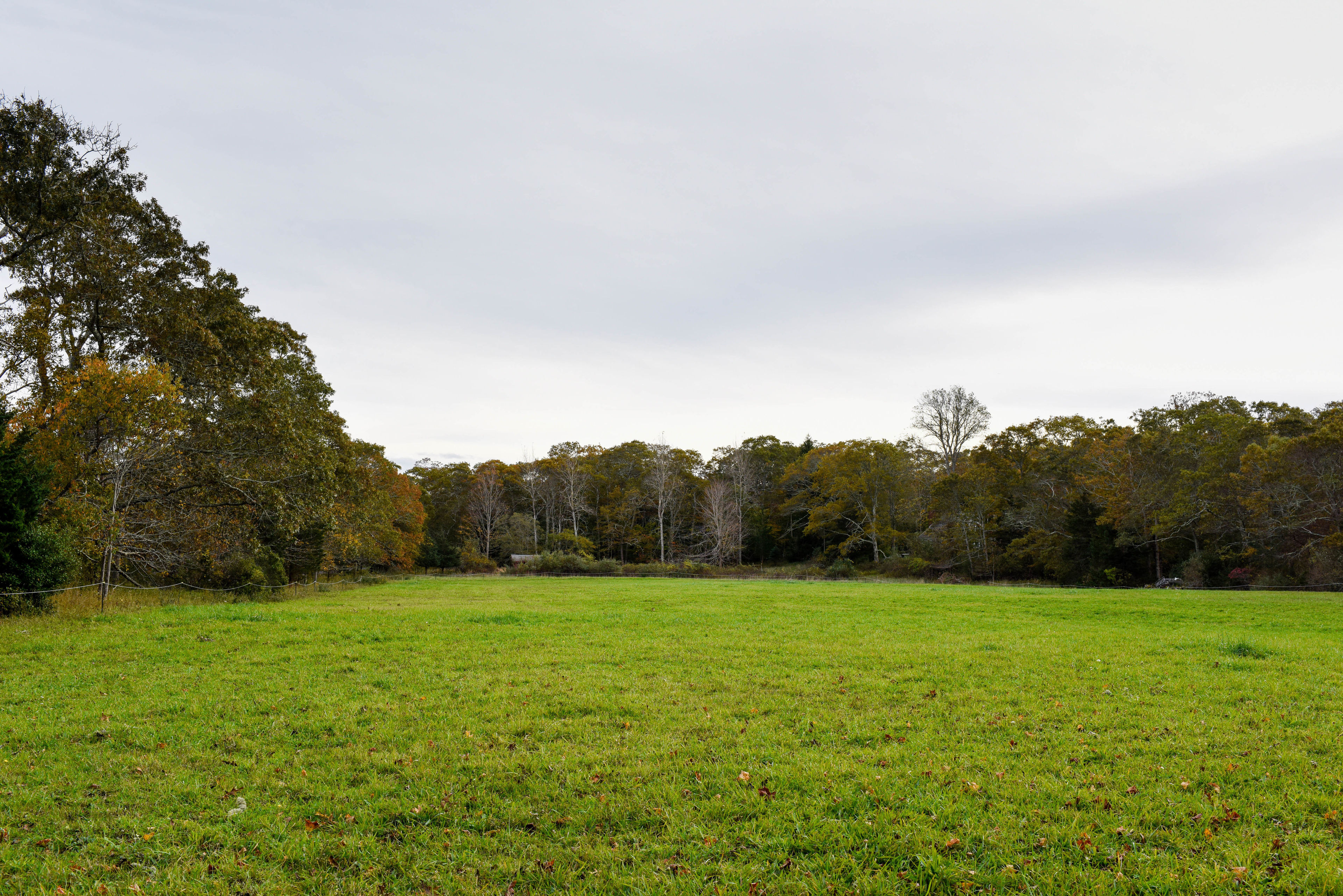 field view