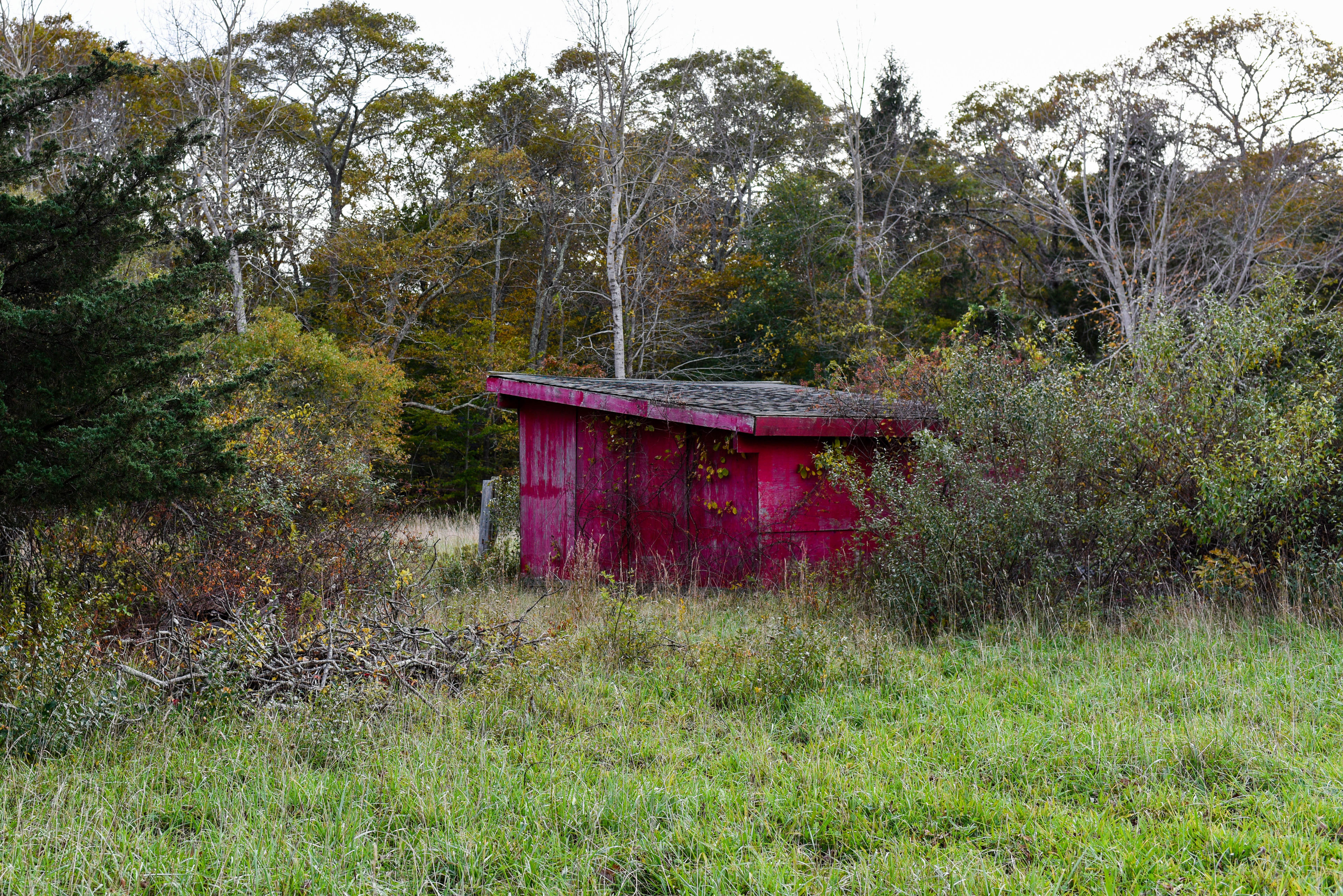 red shed