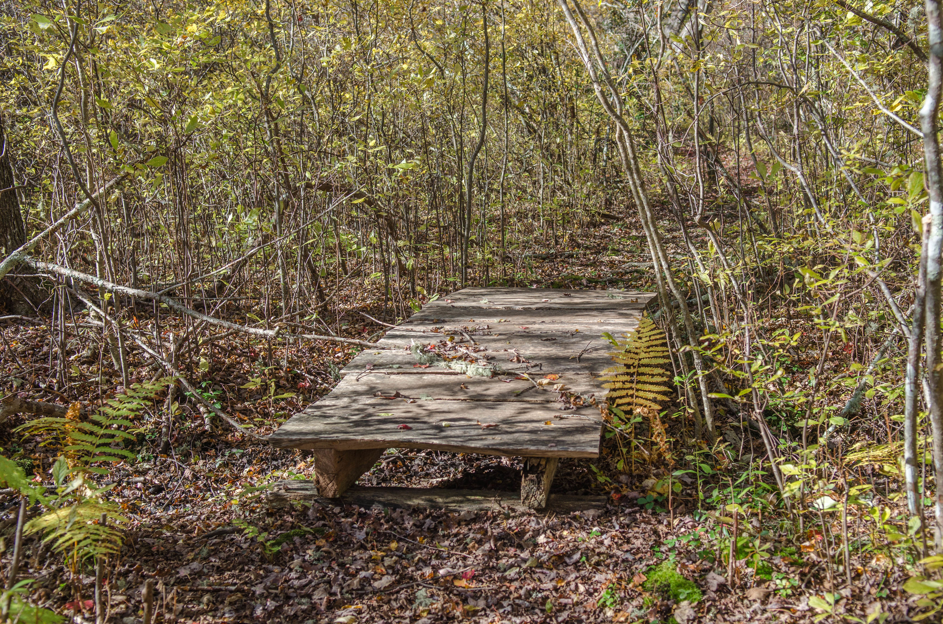 boardwalk