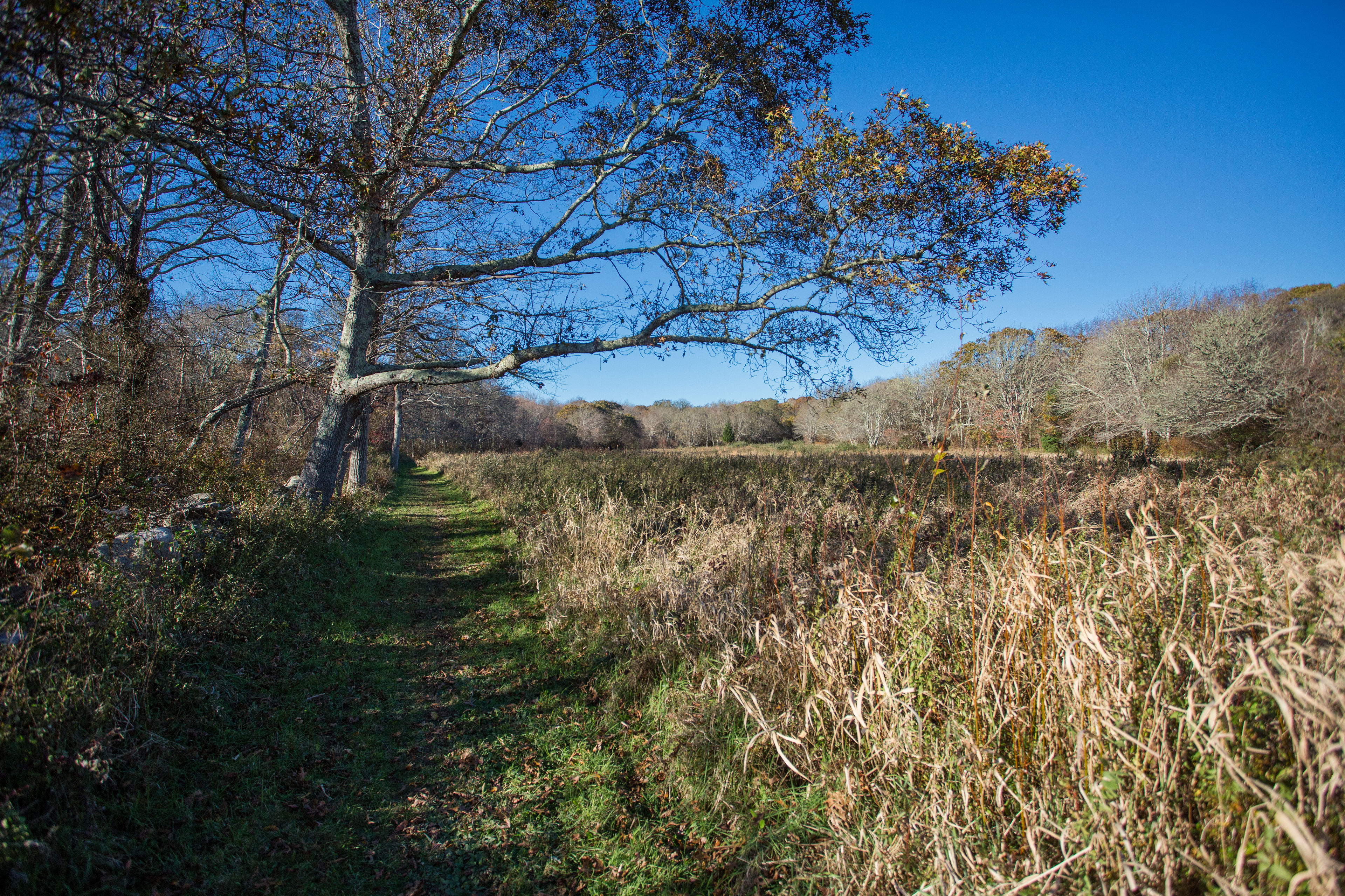 field trail