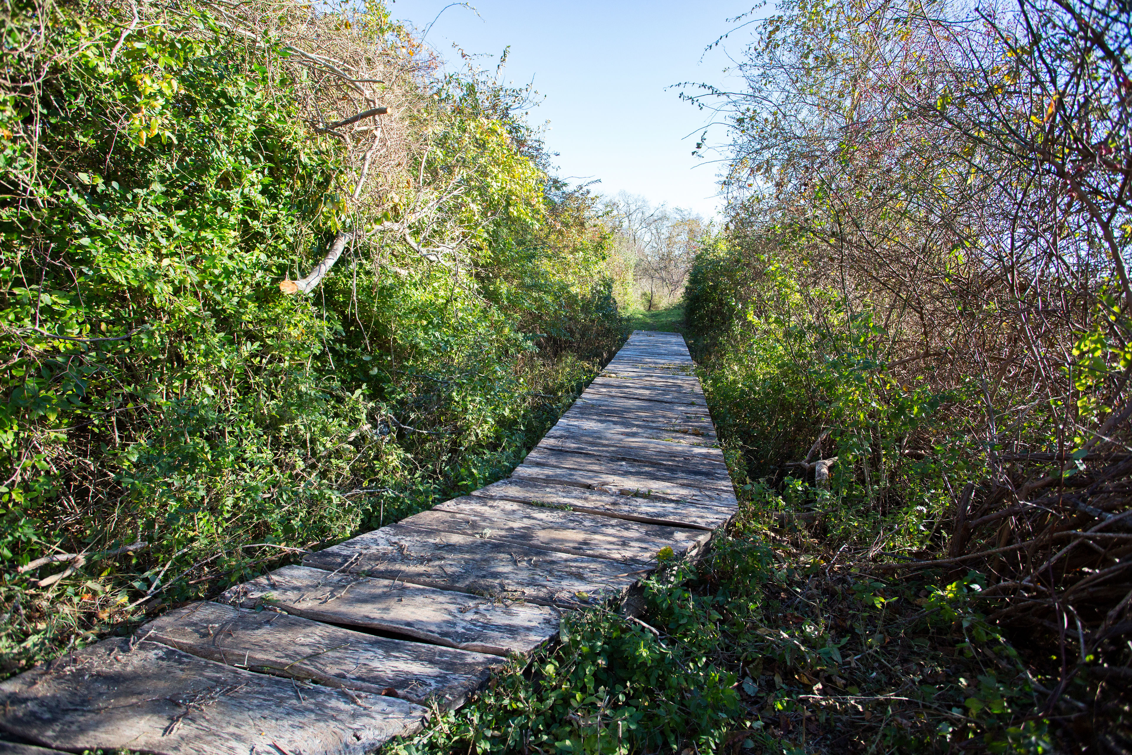 boardwalk