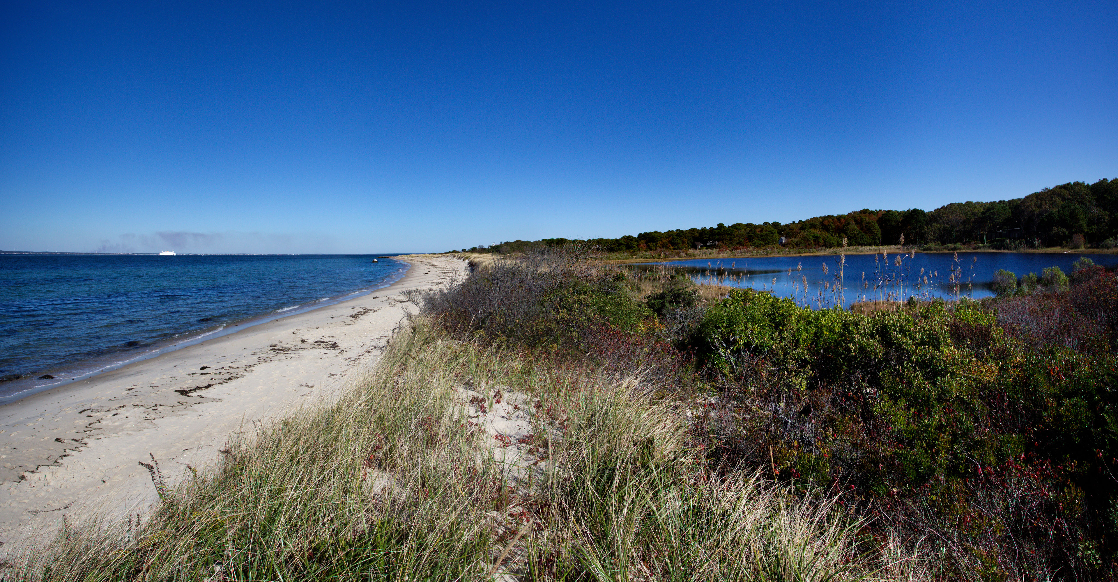 Pond and shore