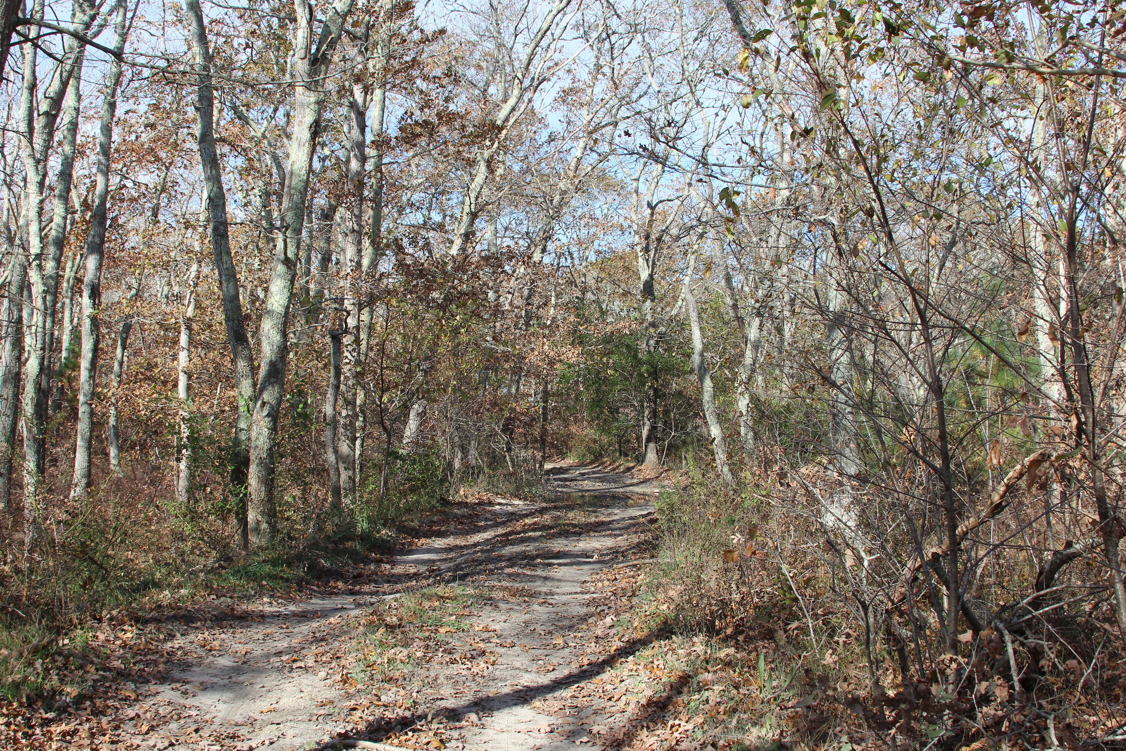 Ben Tom's Road