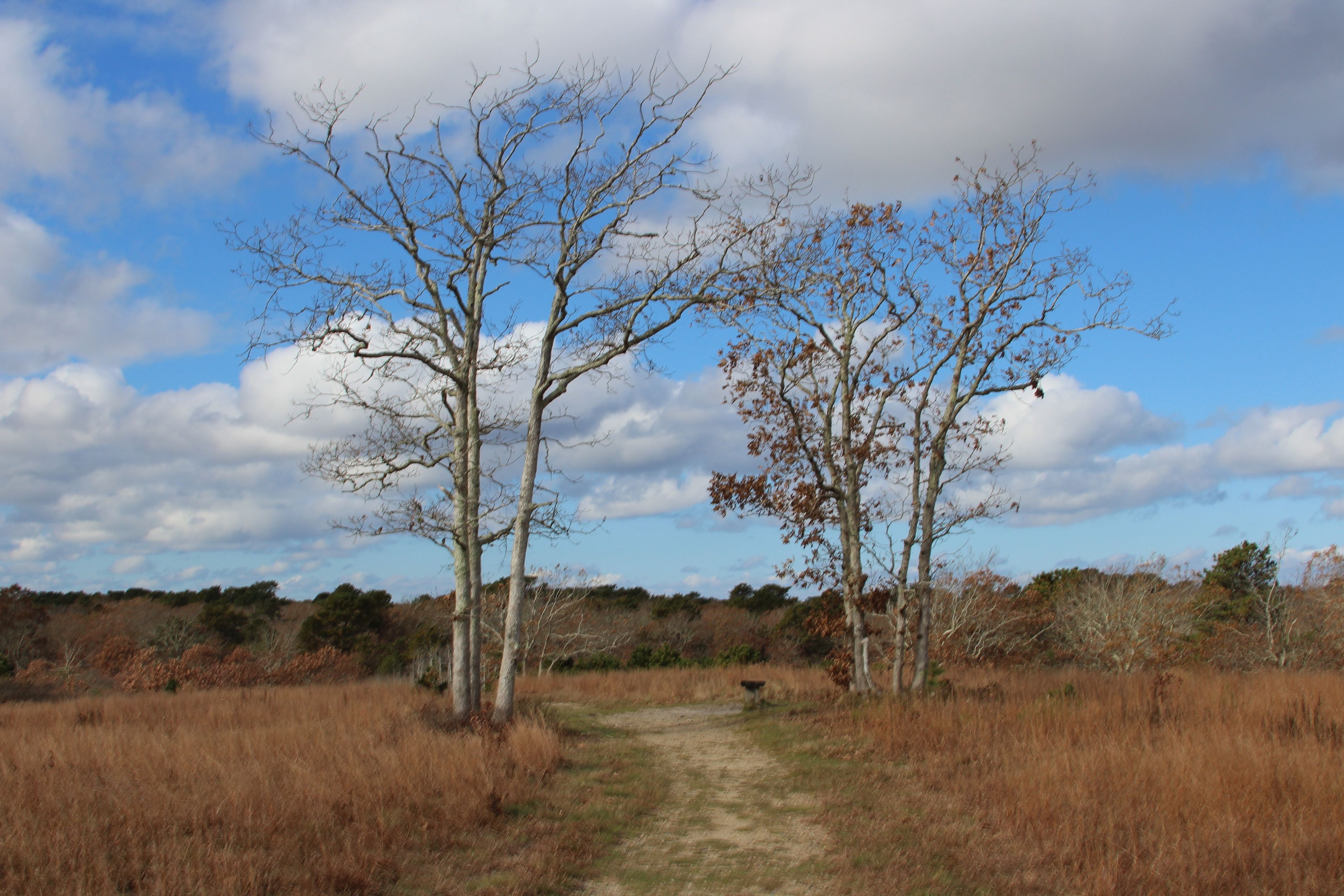 sandy trail