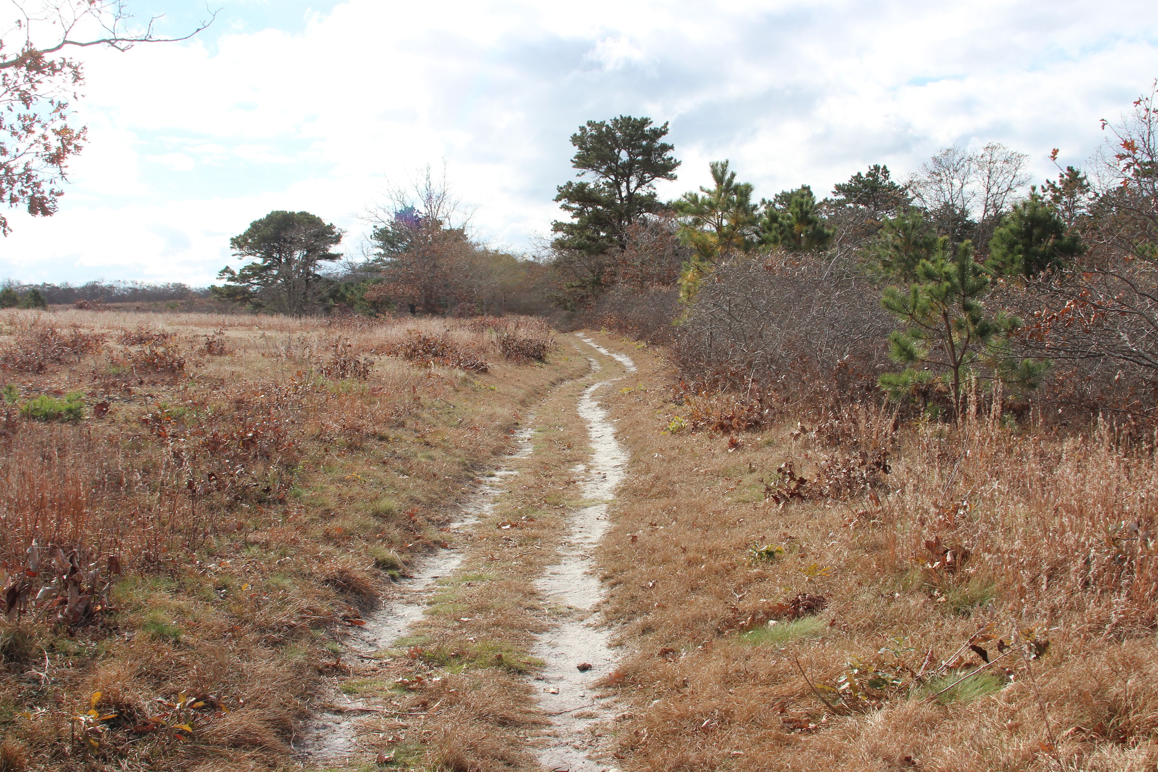 trail along edge