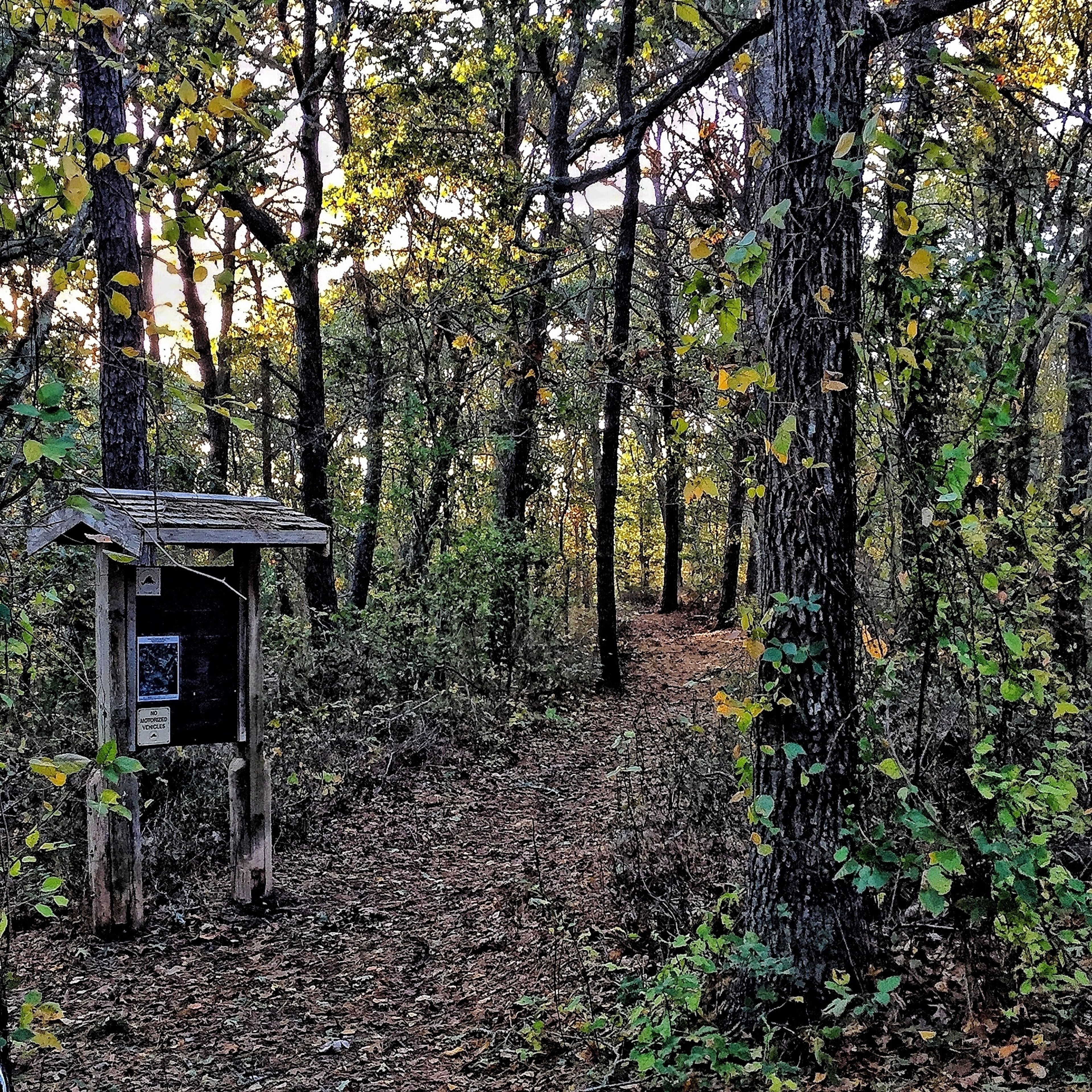 kiosk