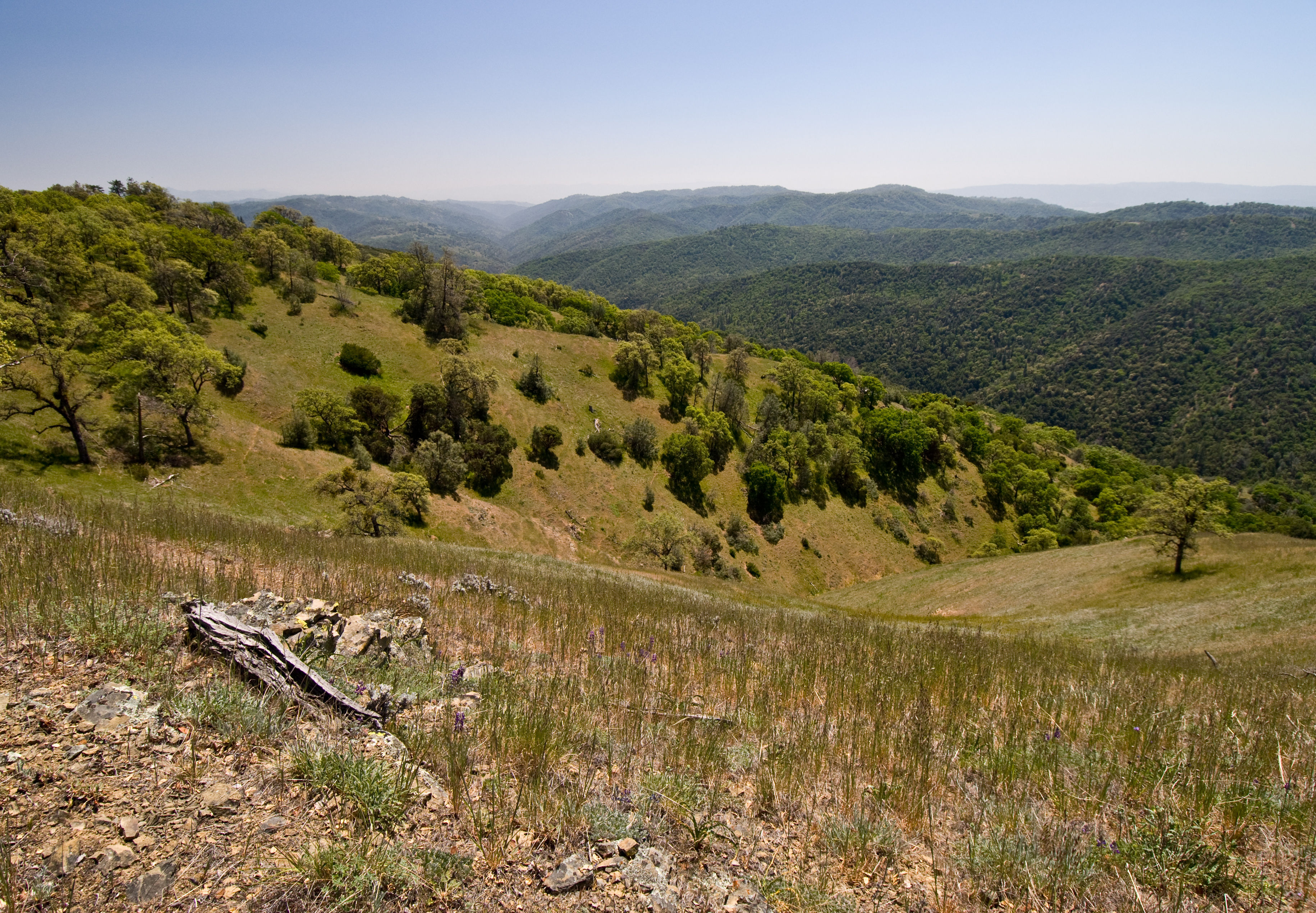 Blue Ridge Road - CA State Parks Trails - OuterSpatial