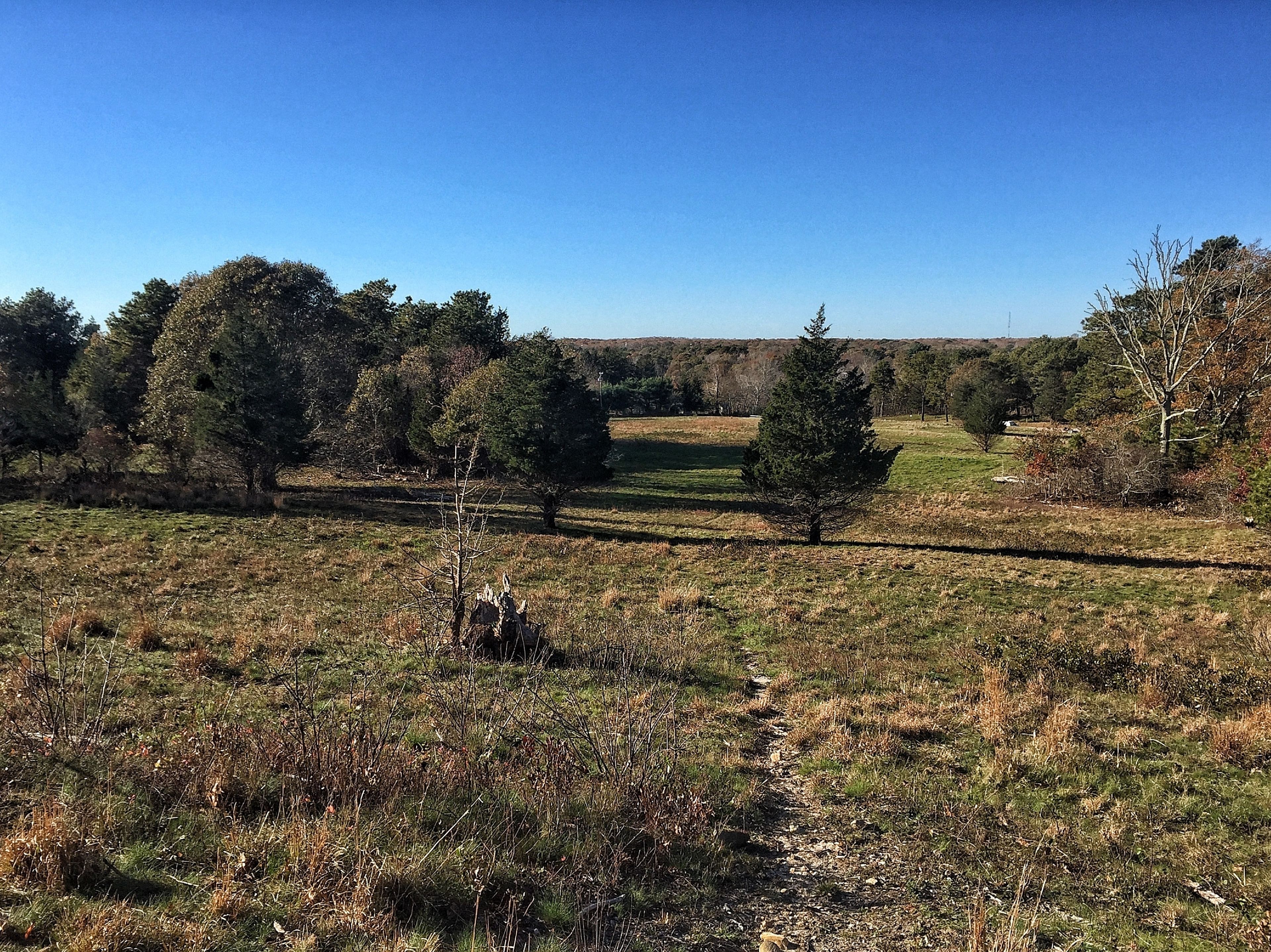 field view