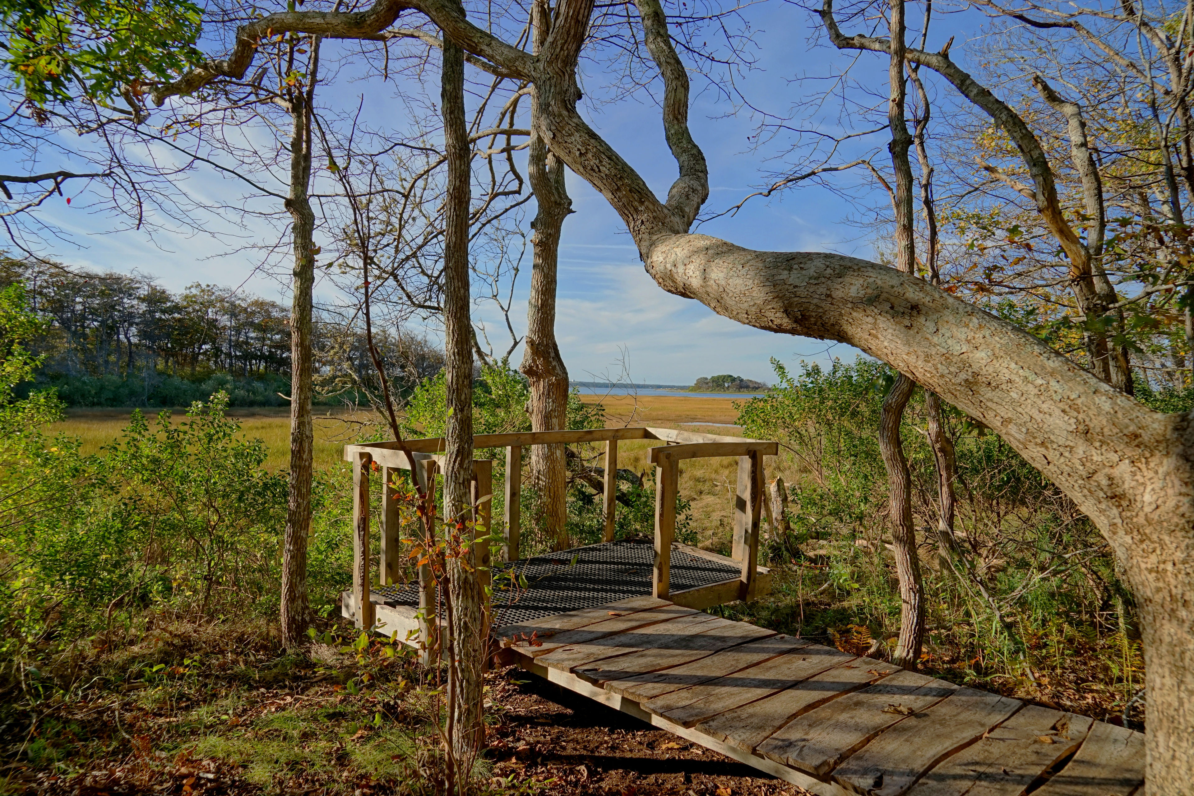 viewing platform- Blue Trail