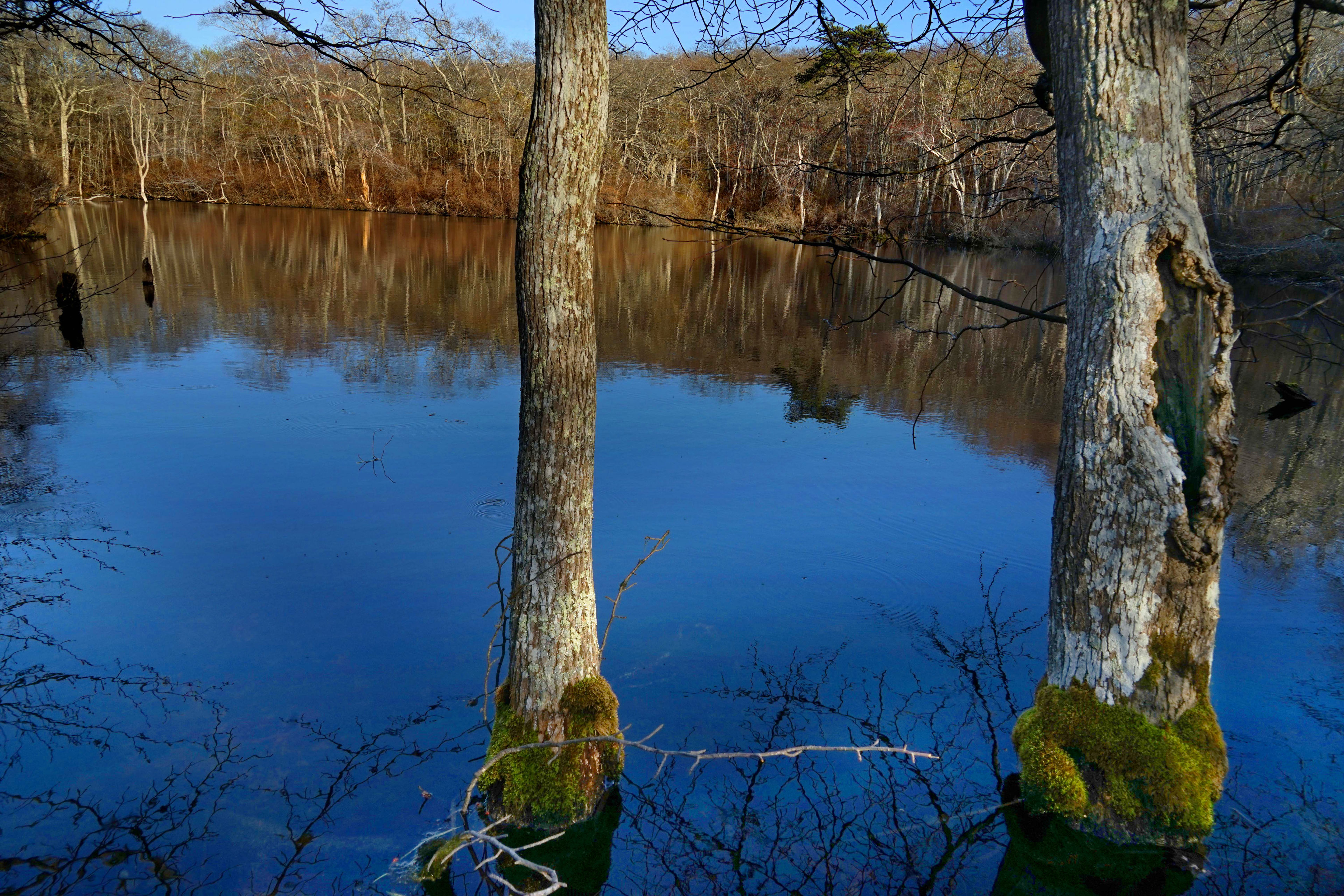 Ames Pond