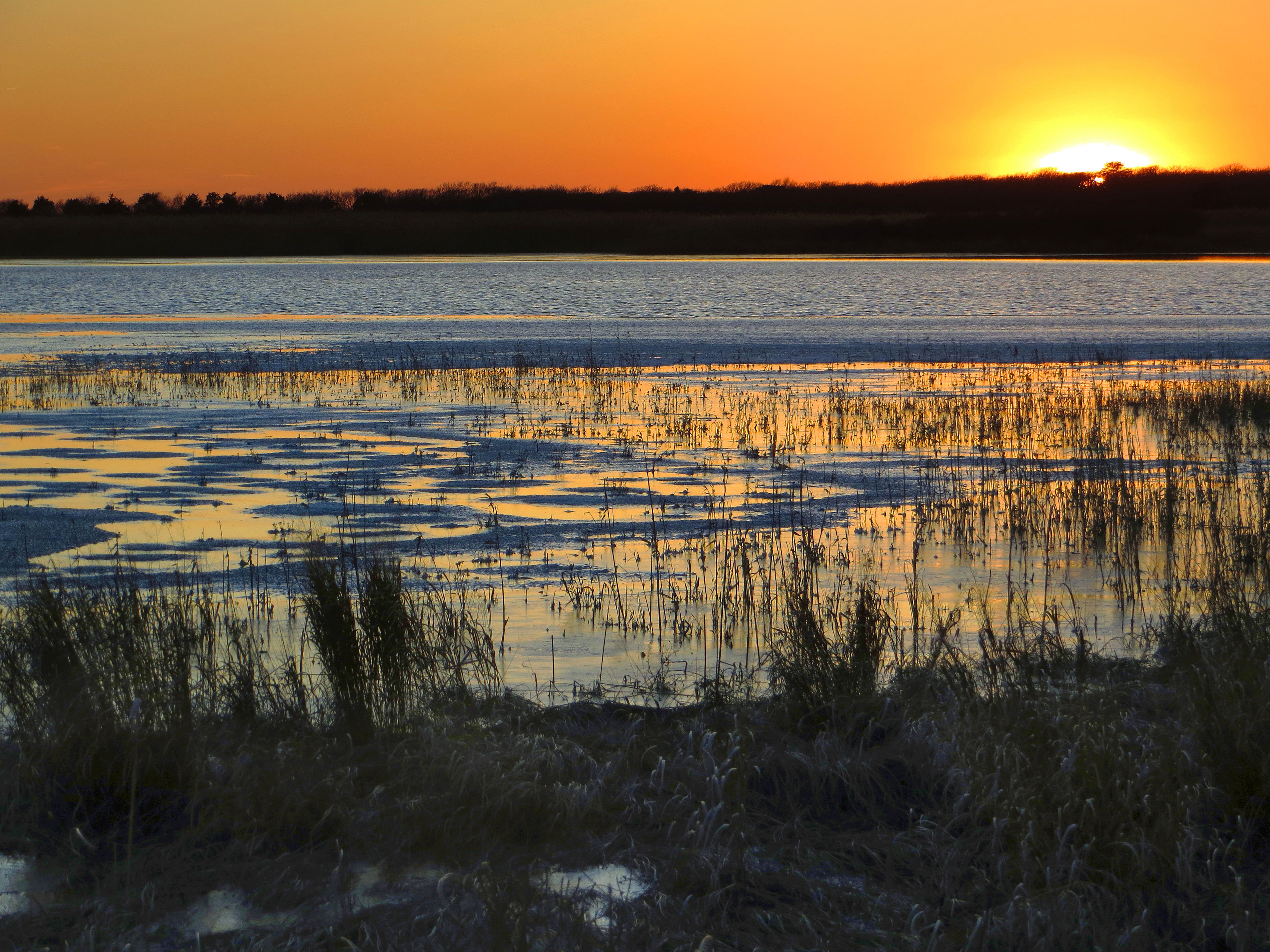 Black Point Pond