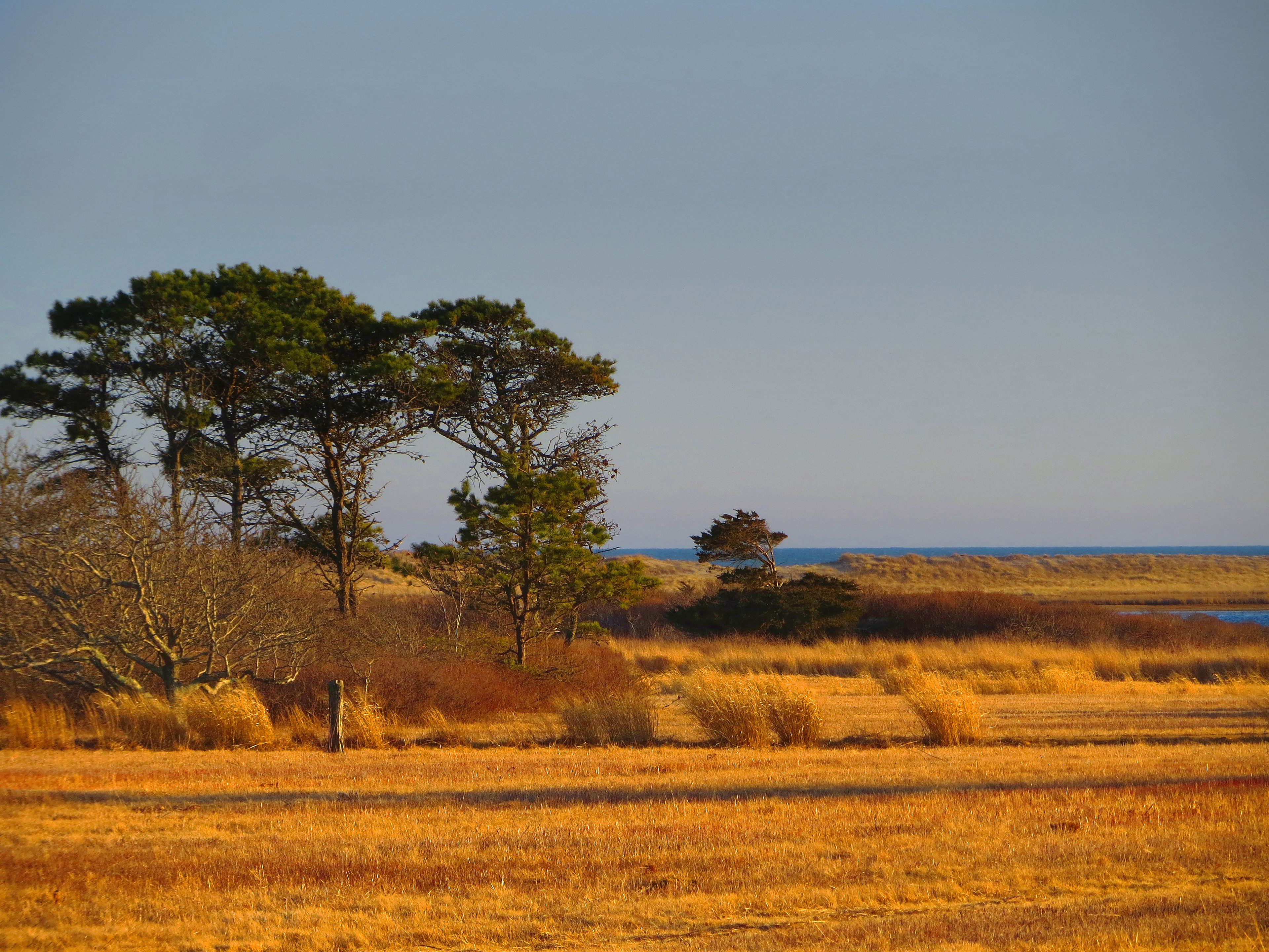 field view