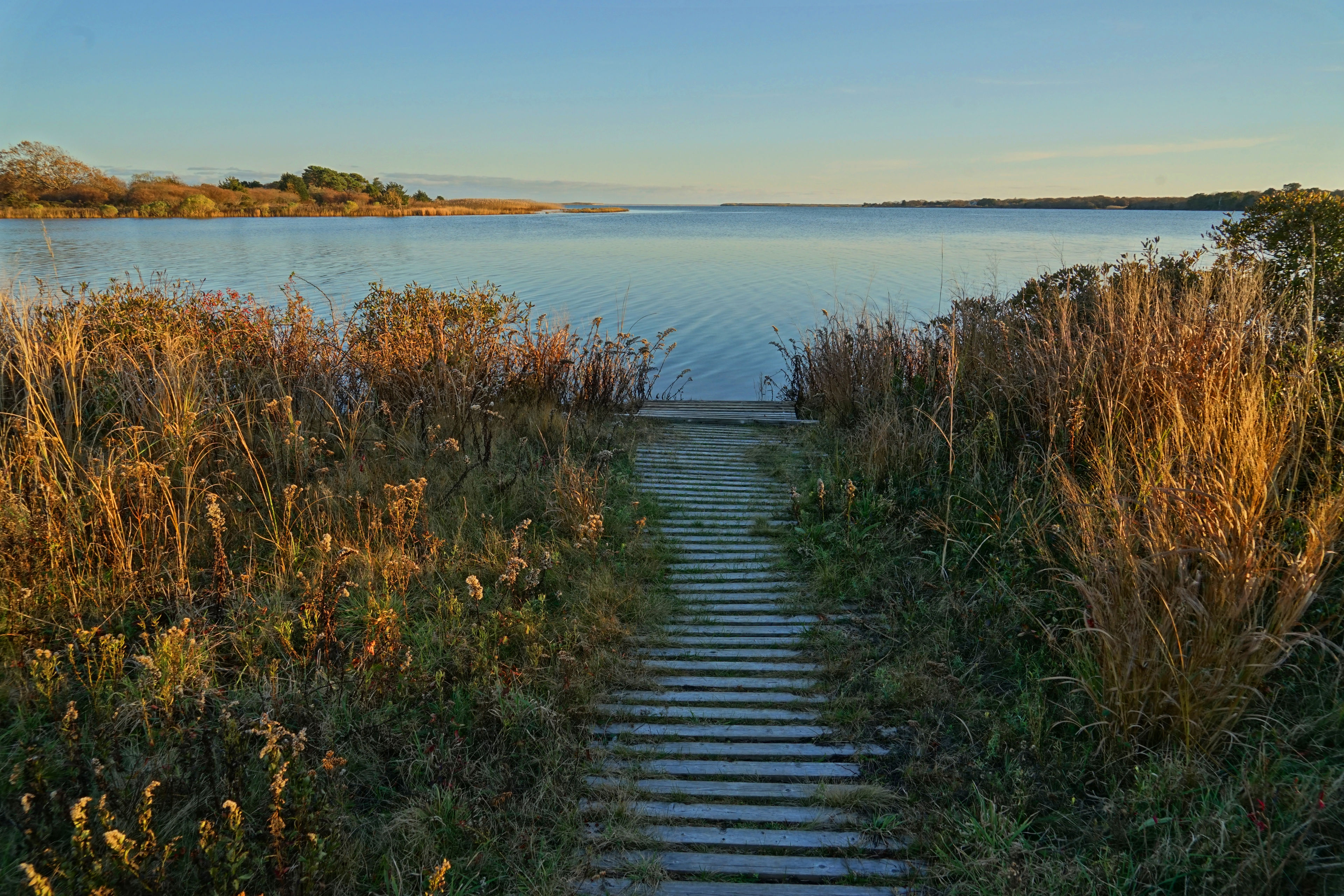 boardwalk looking up the pond towards beach