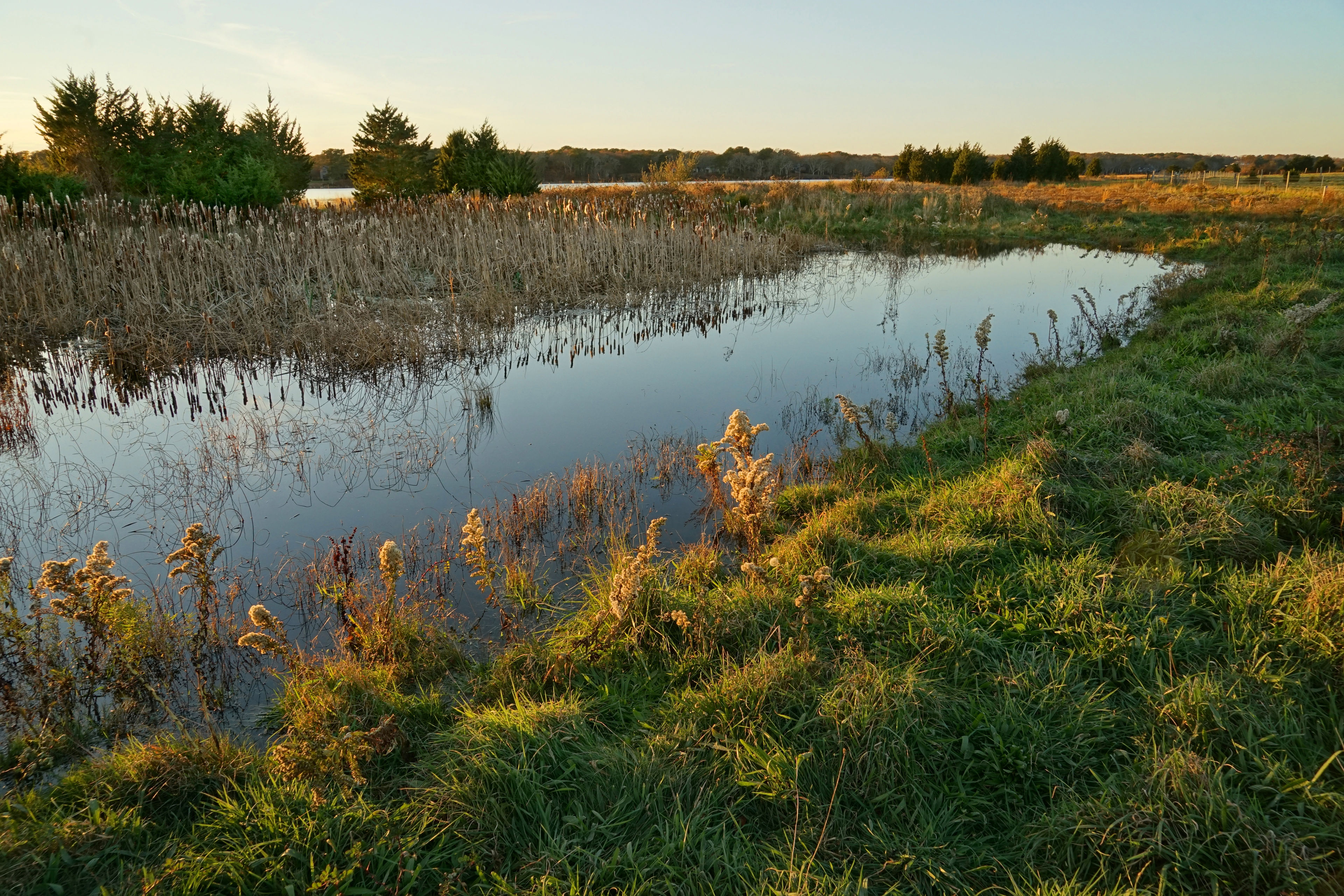 wetlands