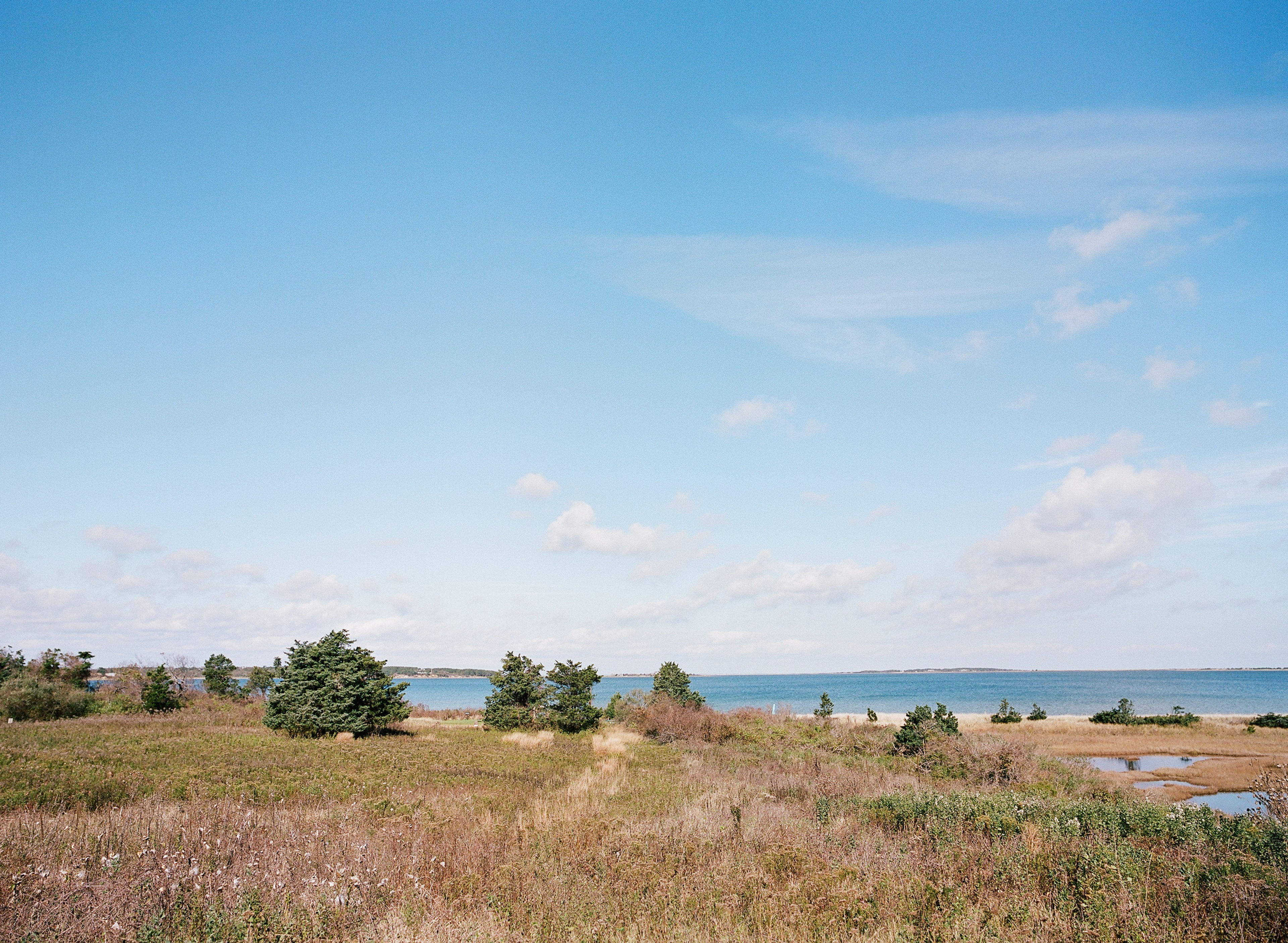 view to Cape Poge Bay