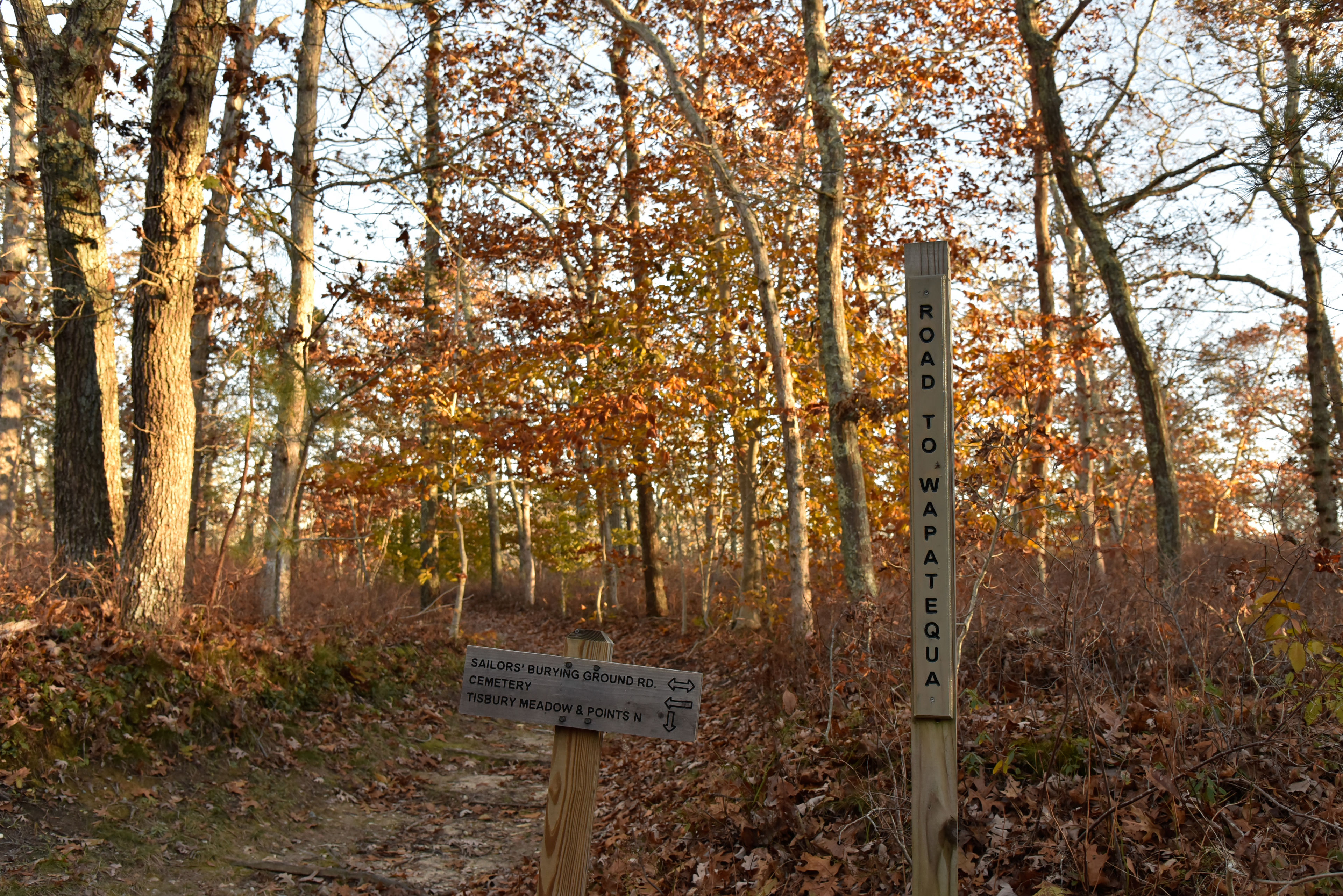 sign post