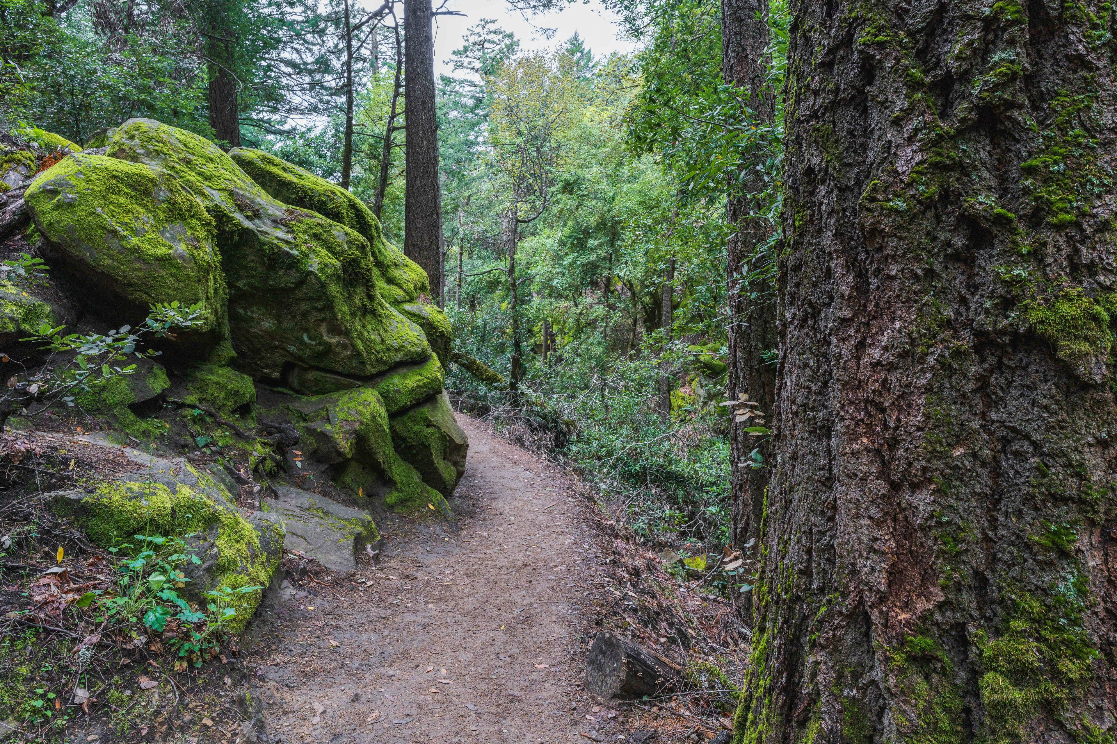 Castle Rock State Park Trail