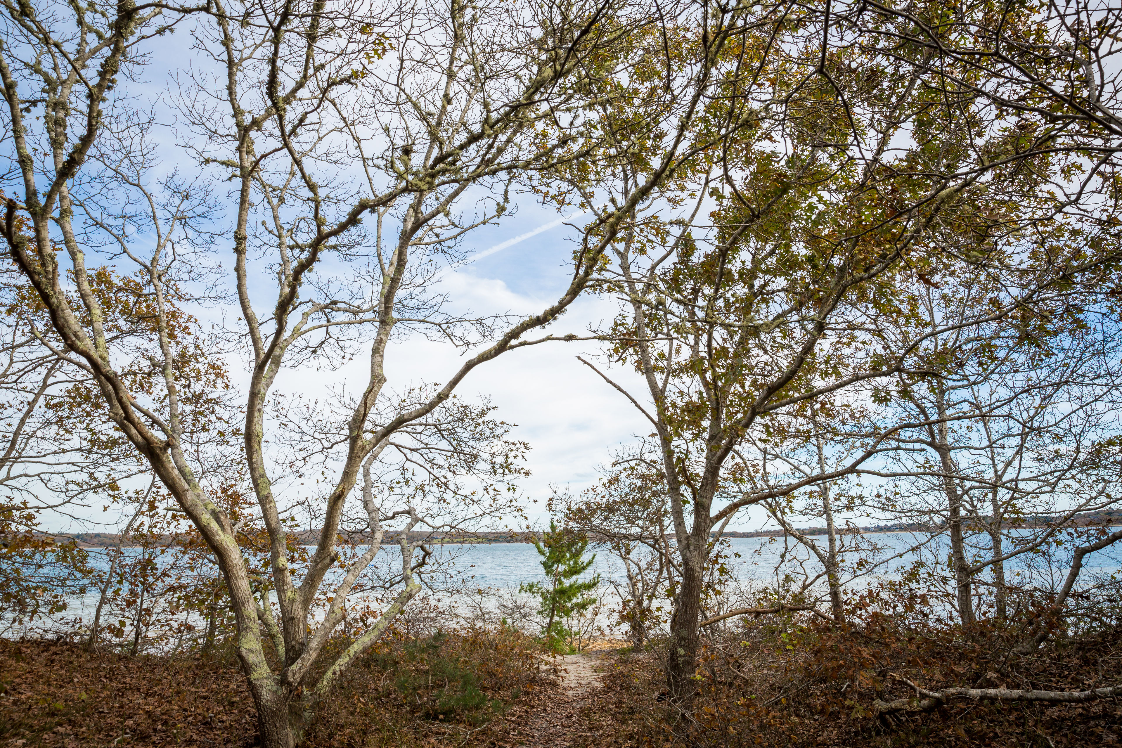 view to Menemsha Pond