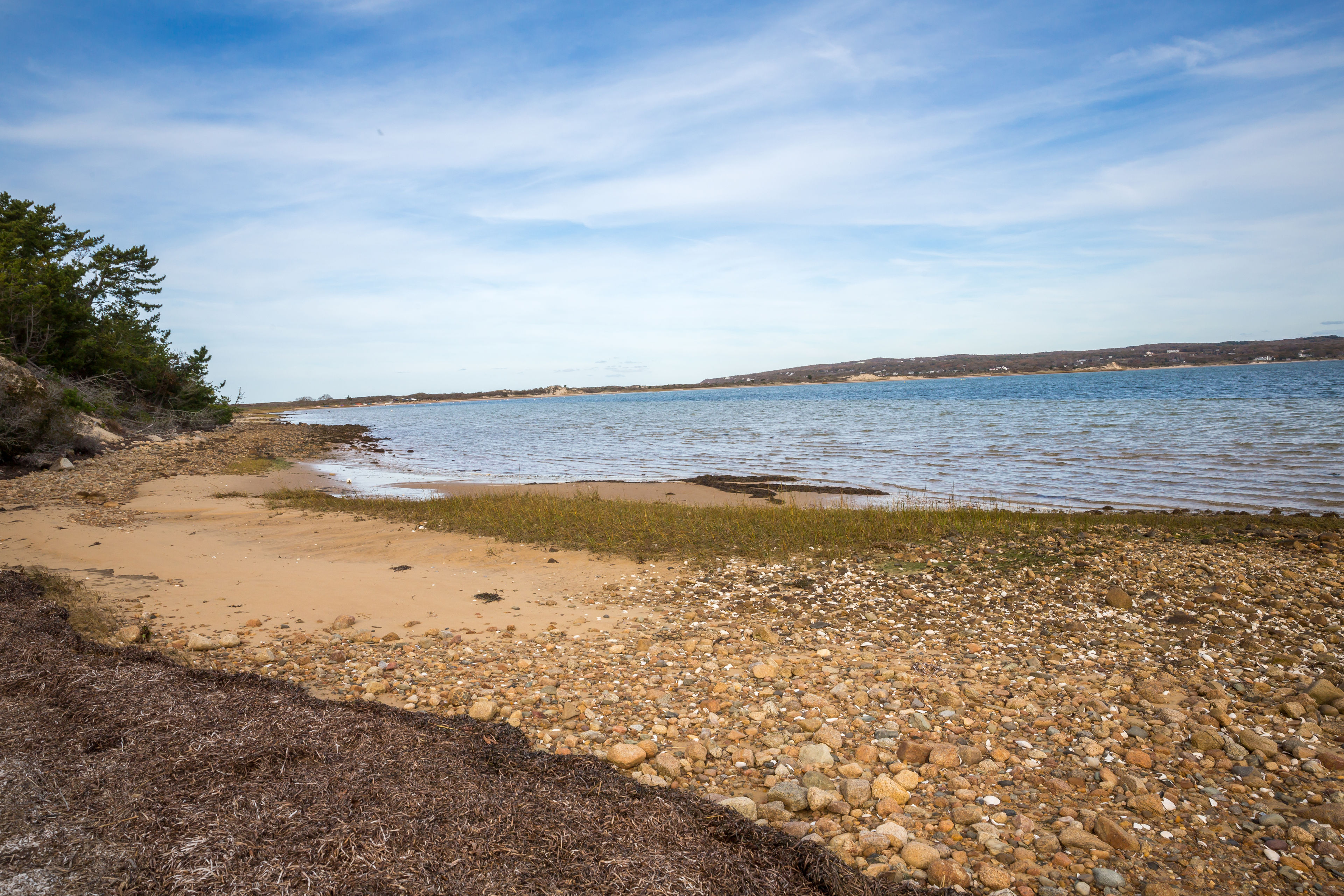 shore at Menemsha Pond