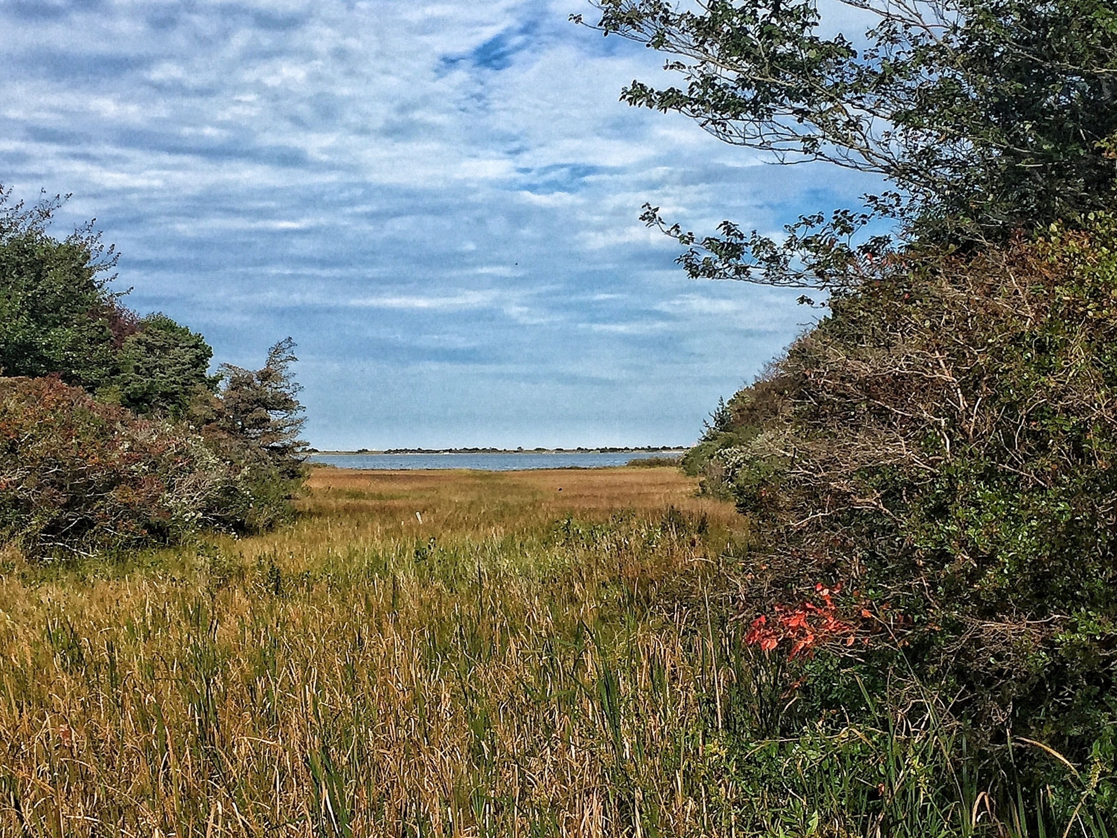 view towards water from O-PPP-2