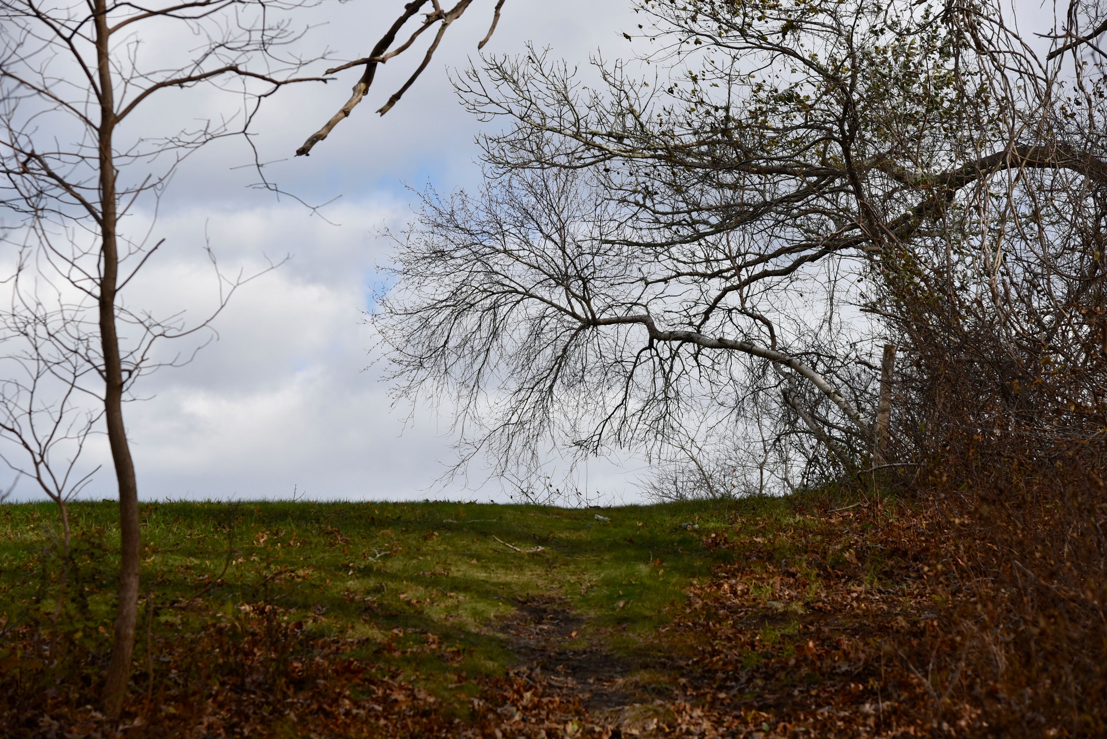 field trail