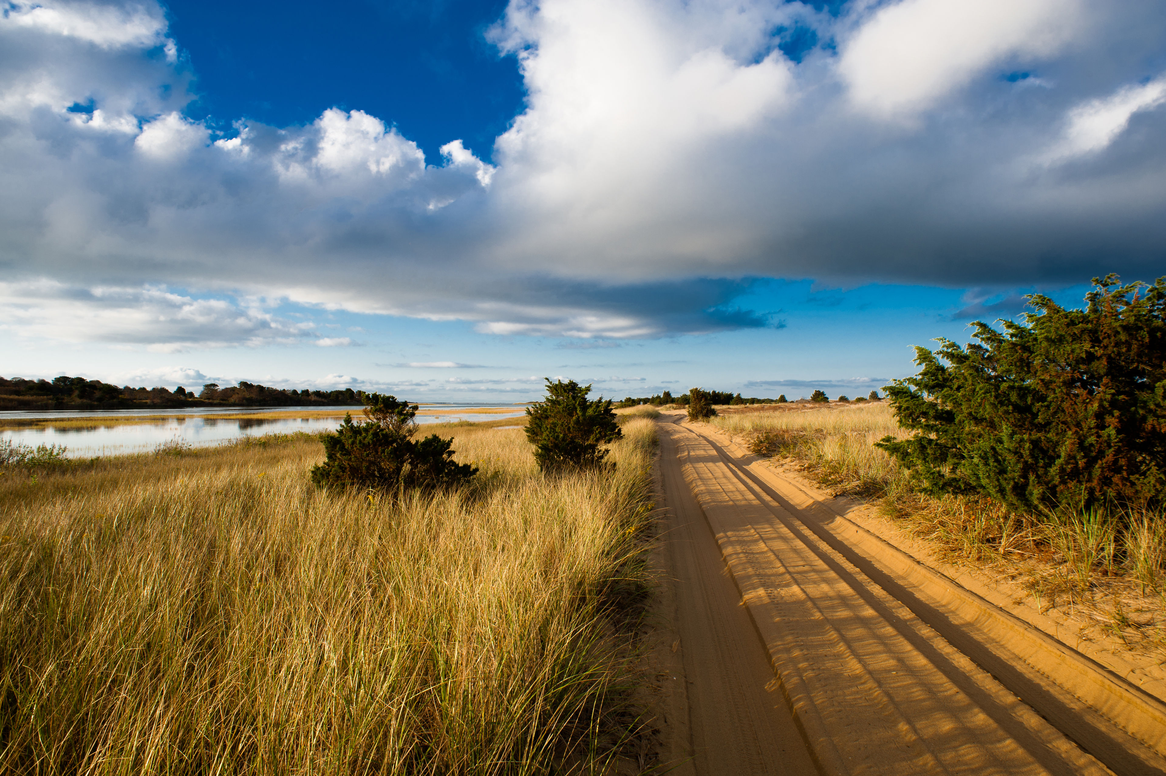 sand road to Cape Poge