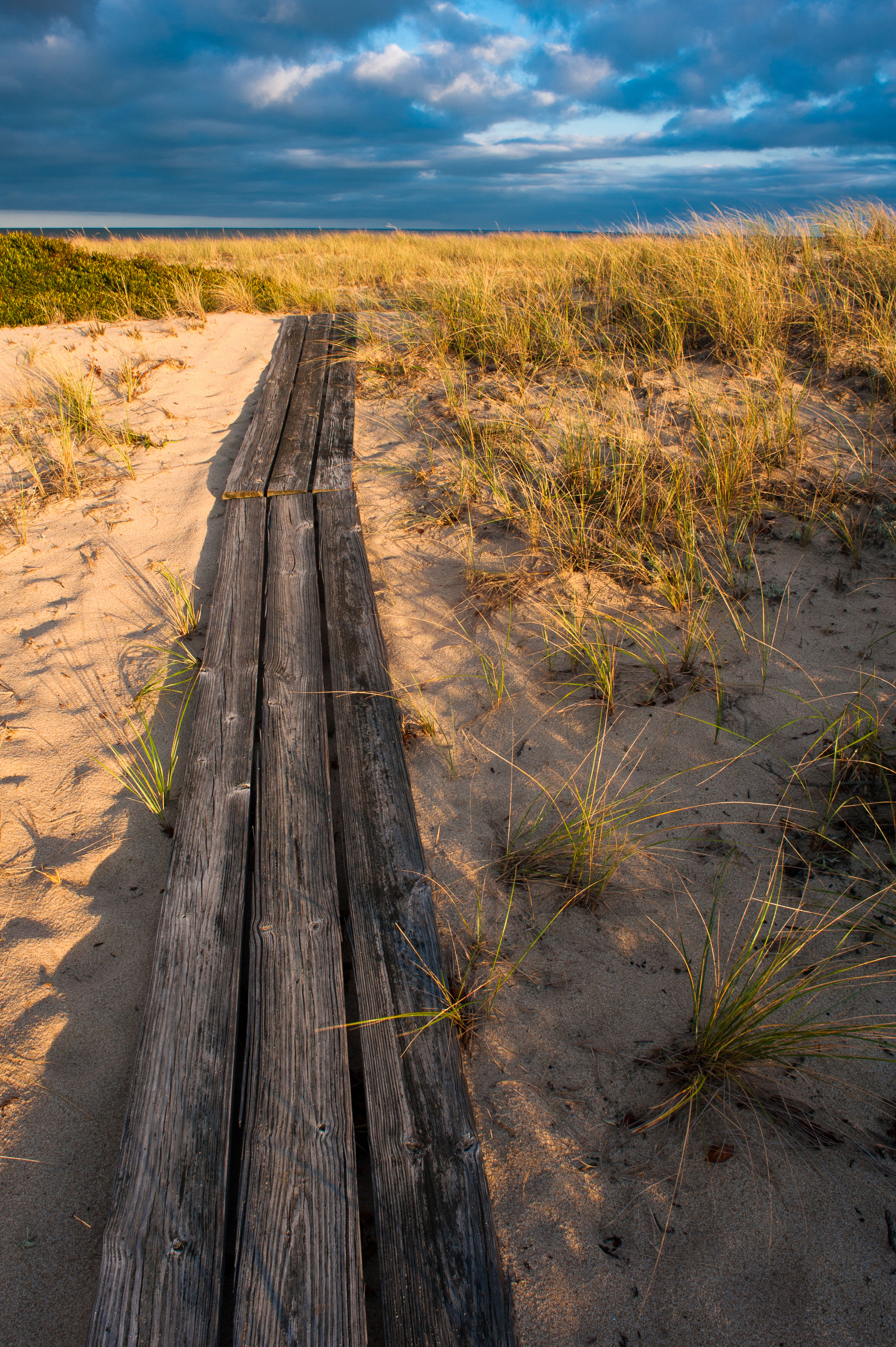 boardwalk