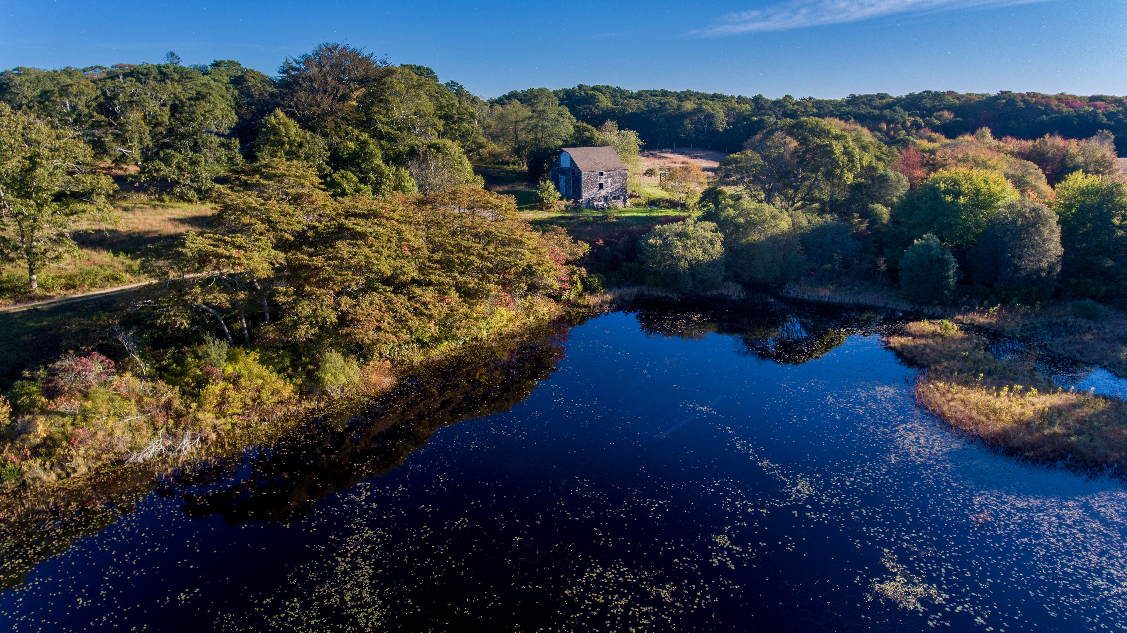 Duarte's Pond