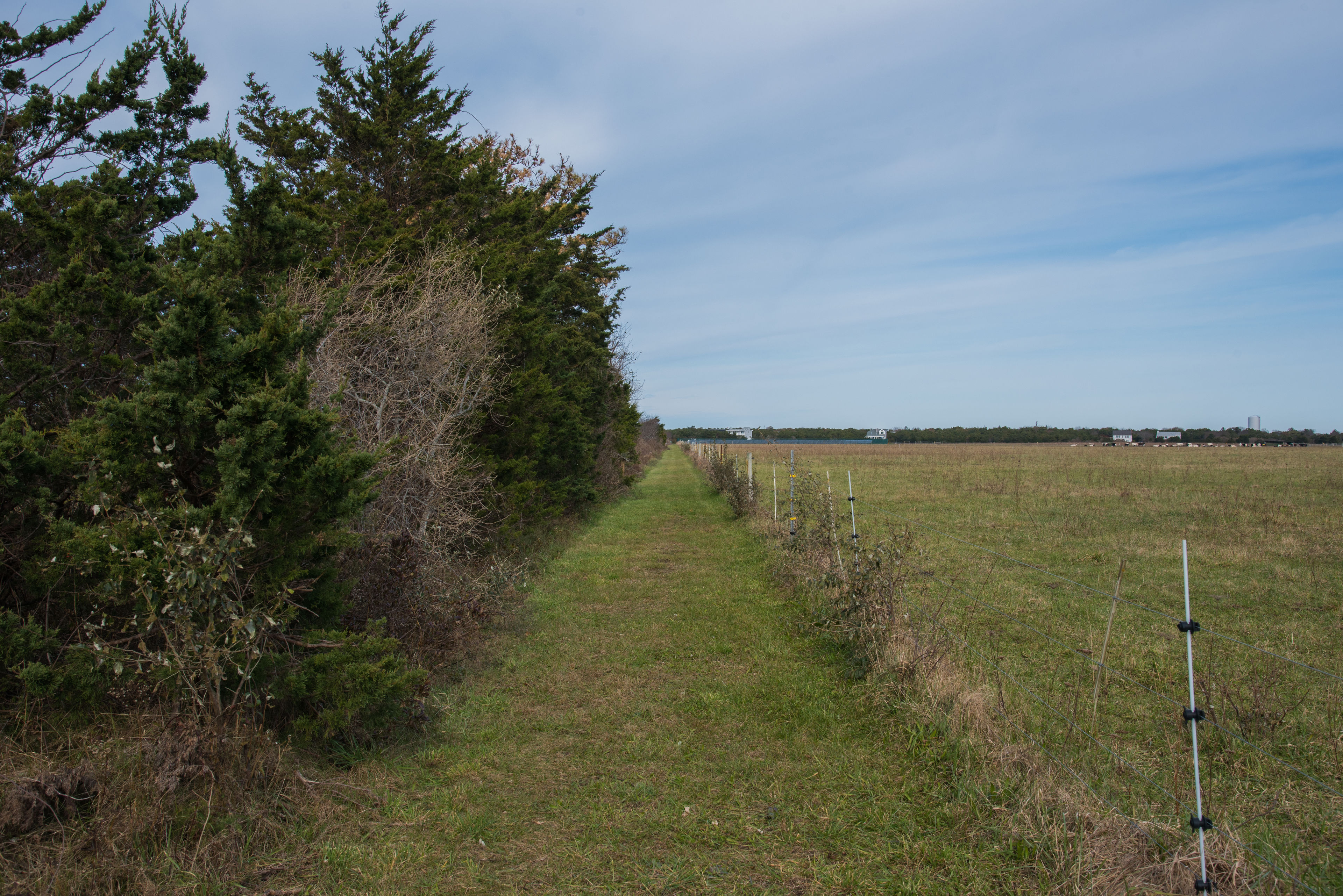 field trail