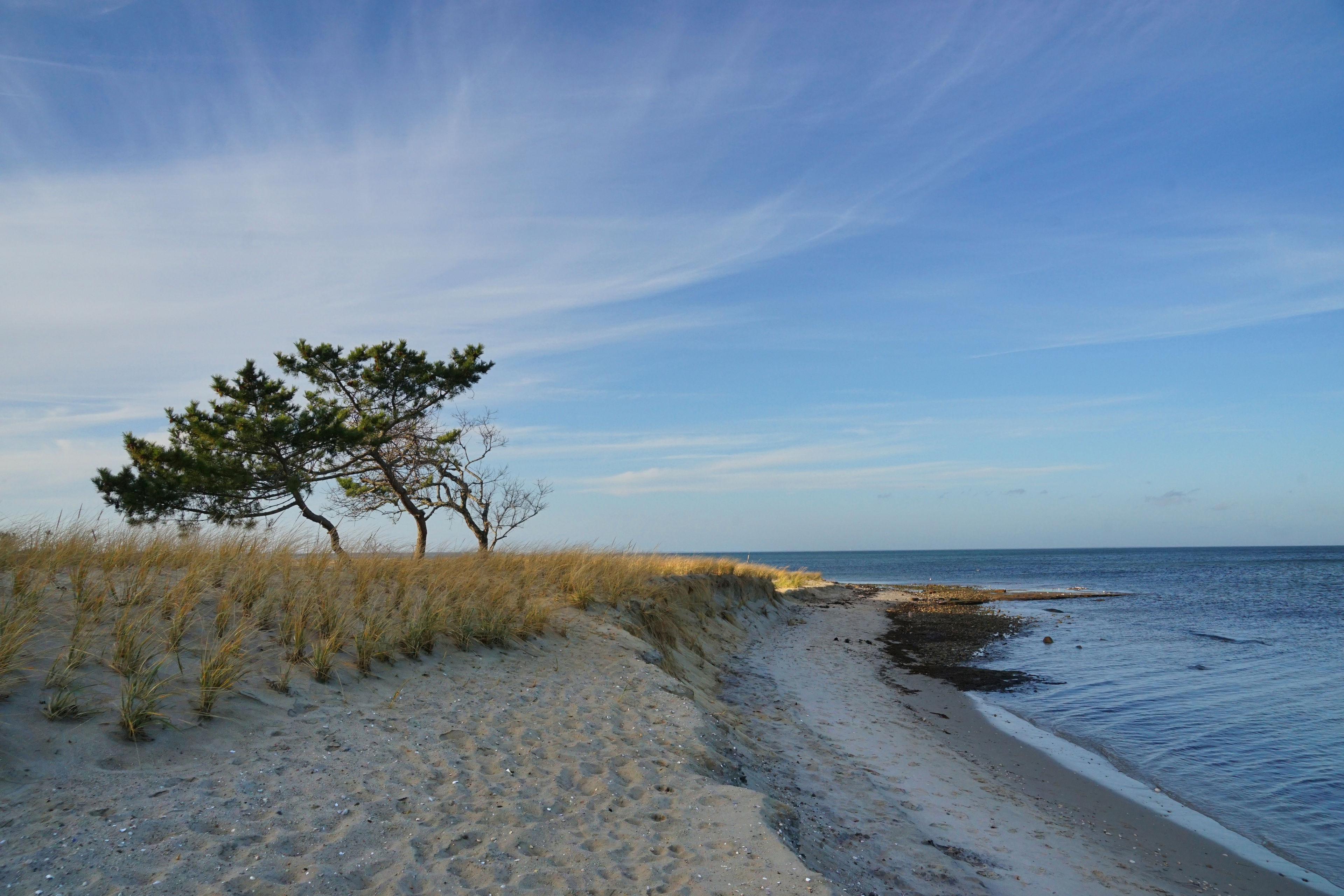 shore on Sound