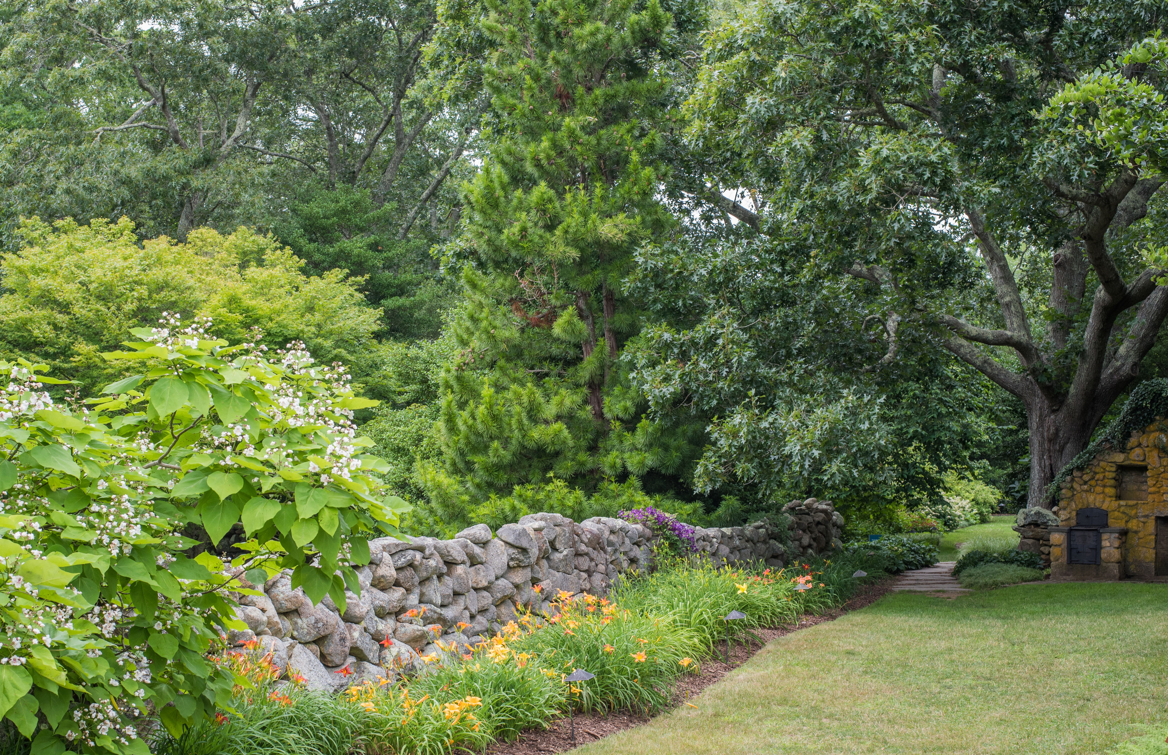 Summer greens at Polly Hill