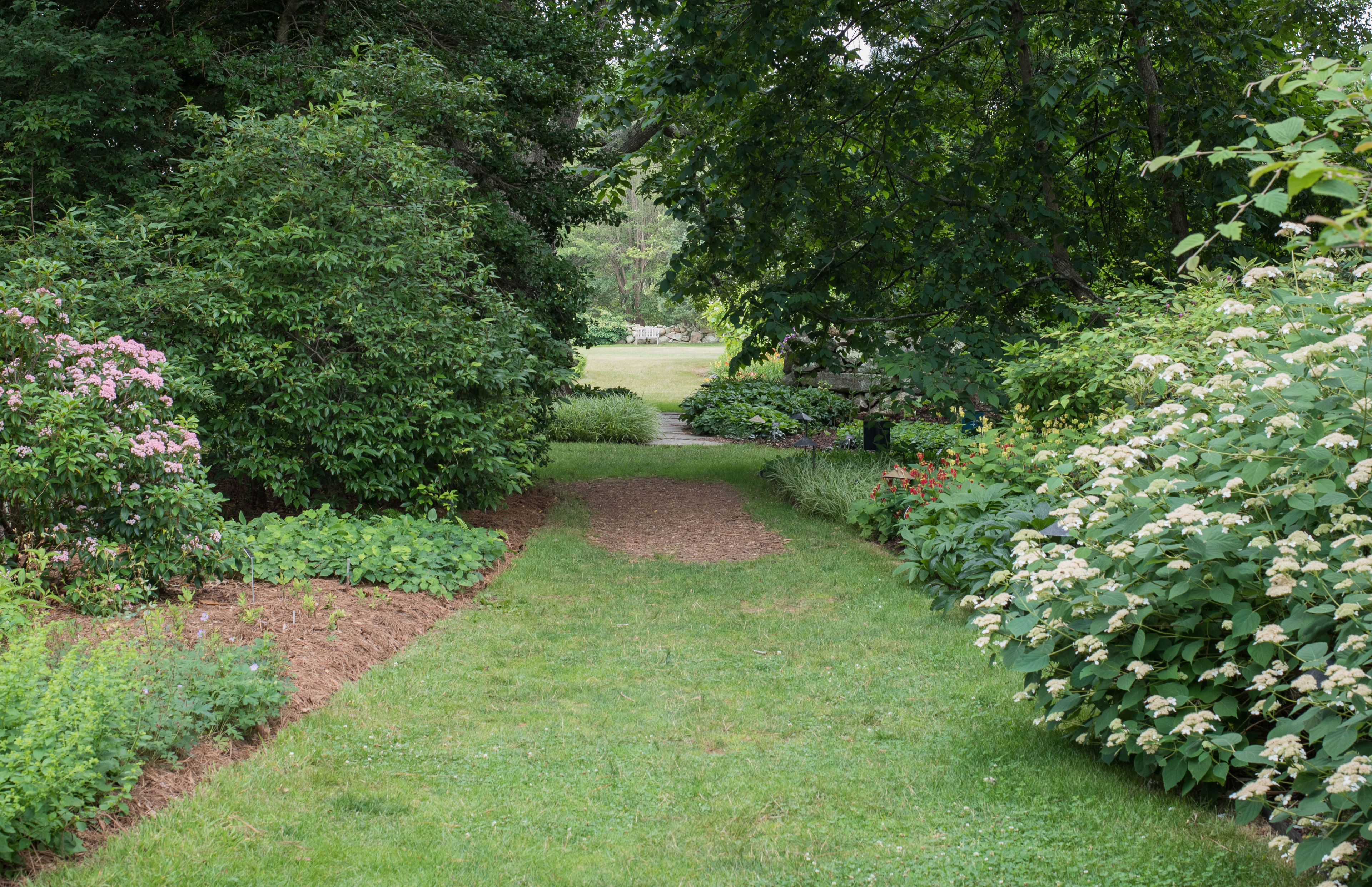 garden path