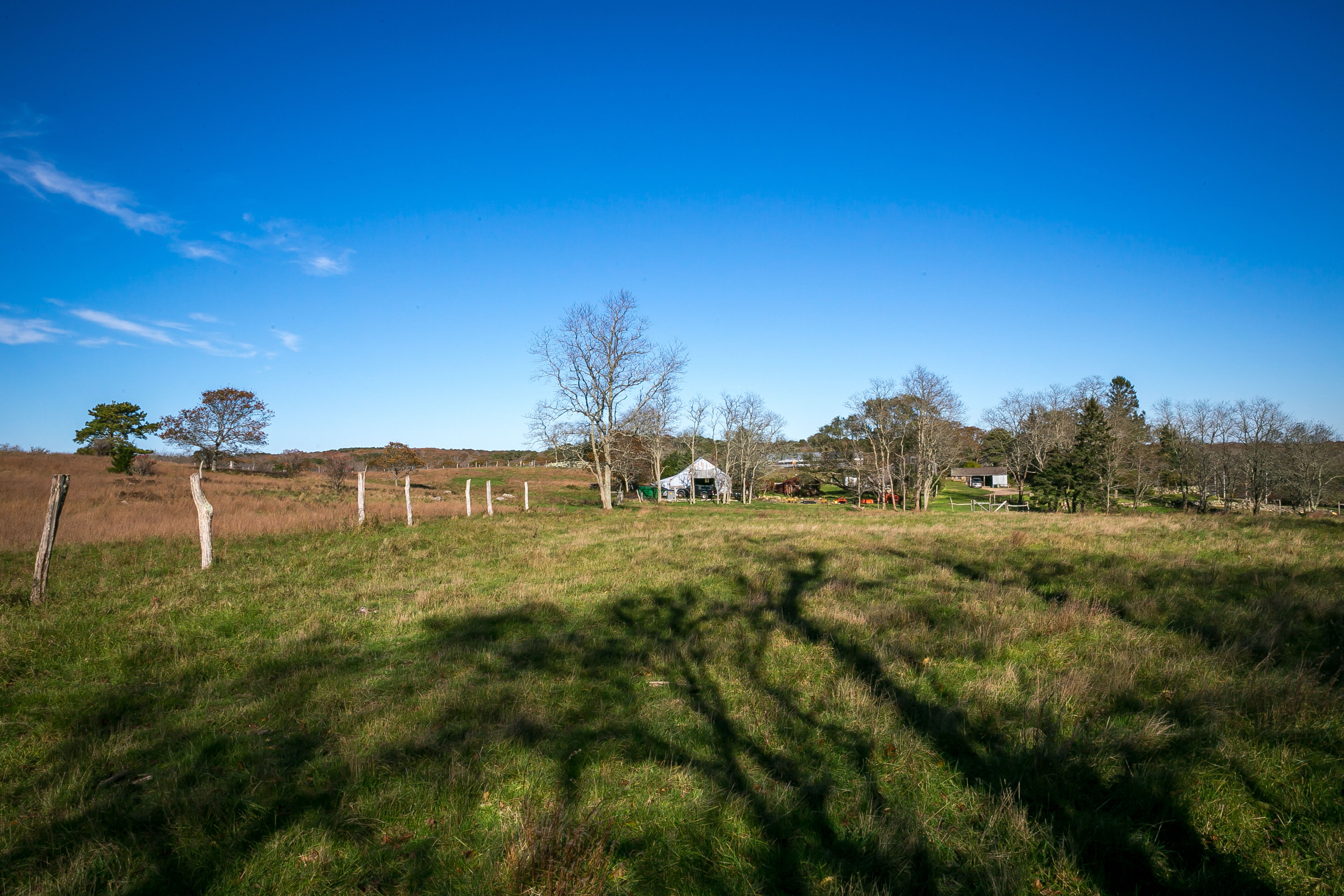 farm view