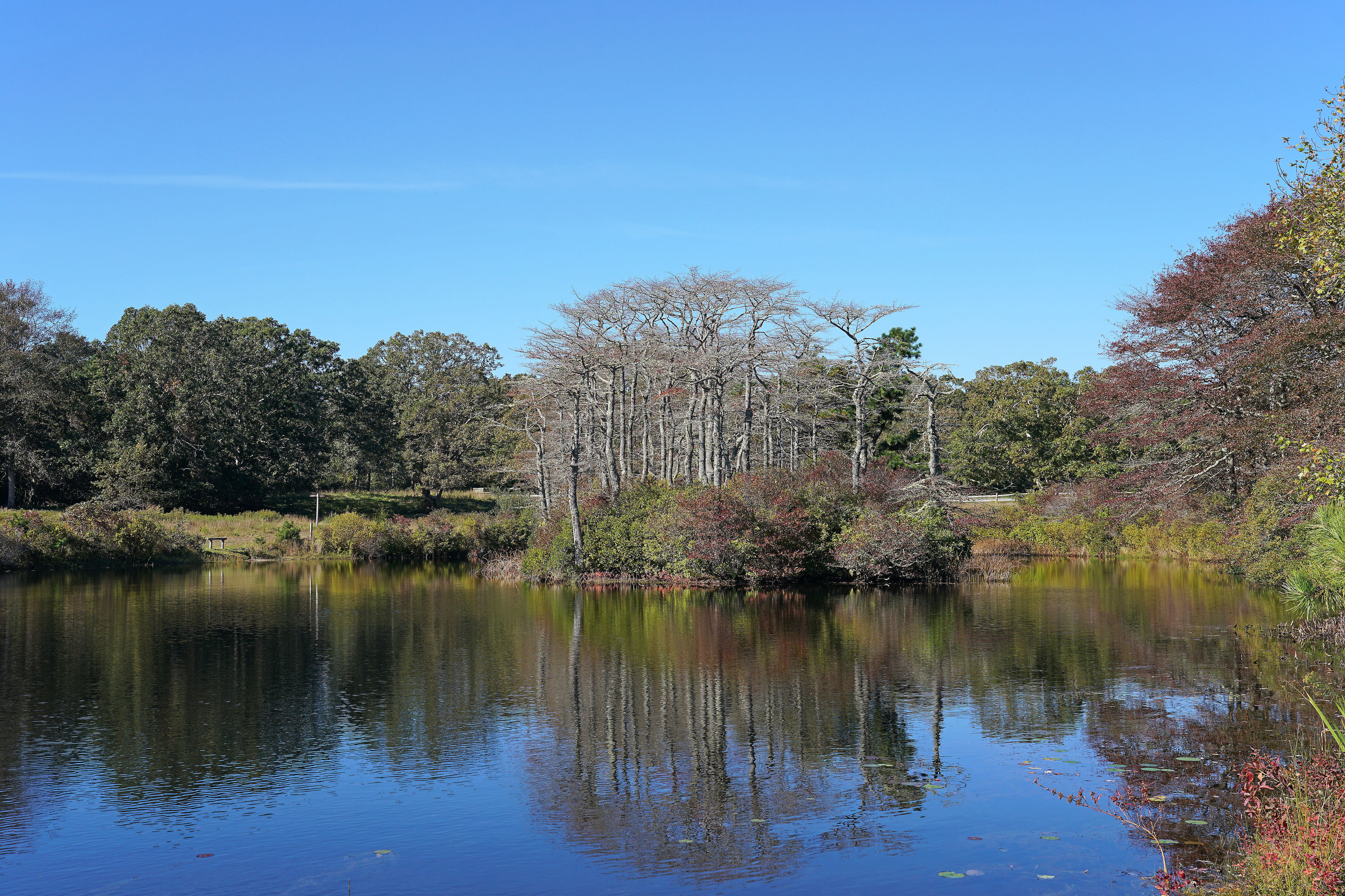 Brine's Pond