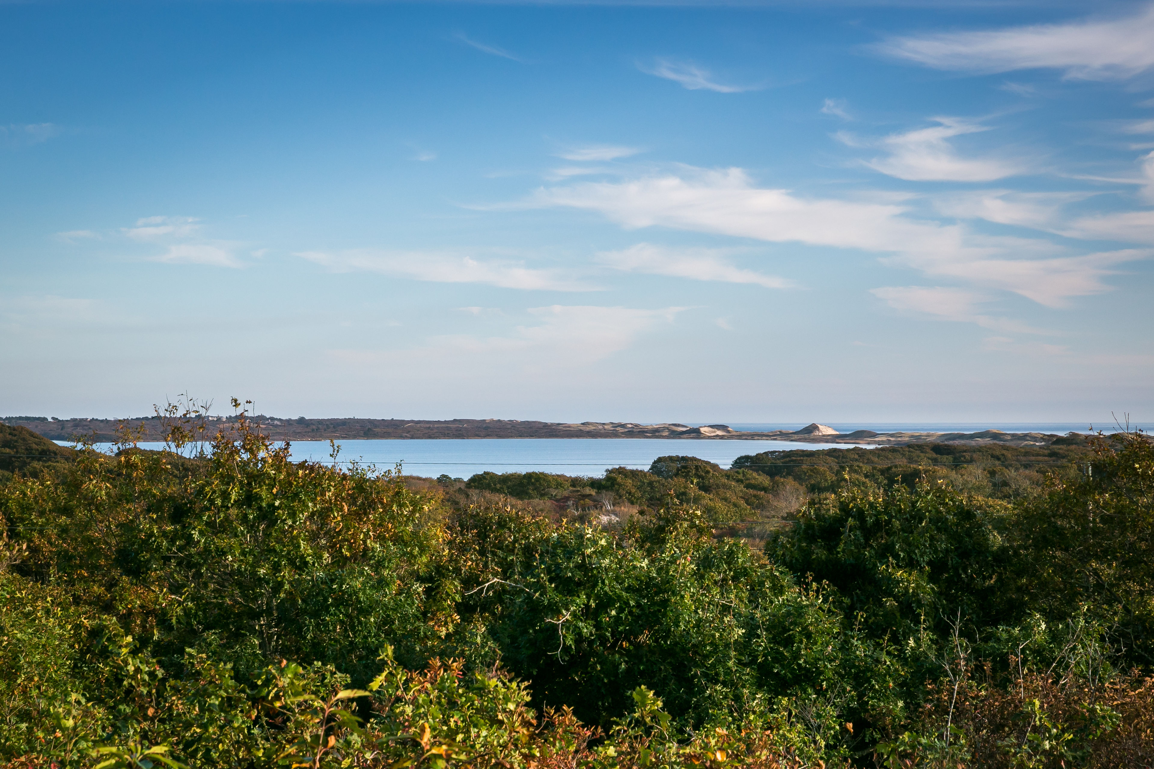 view to Squibnocket Pond and beyond in fall