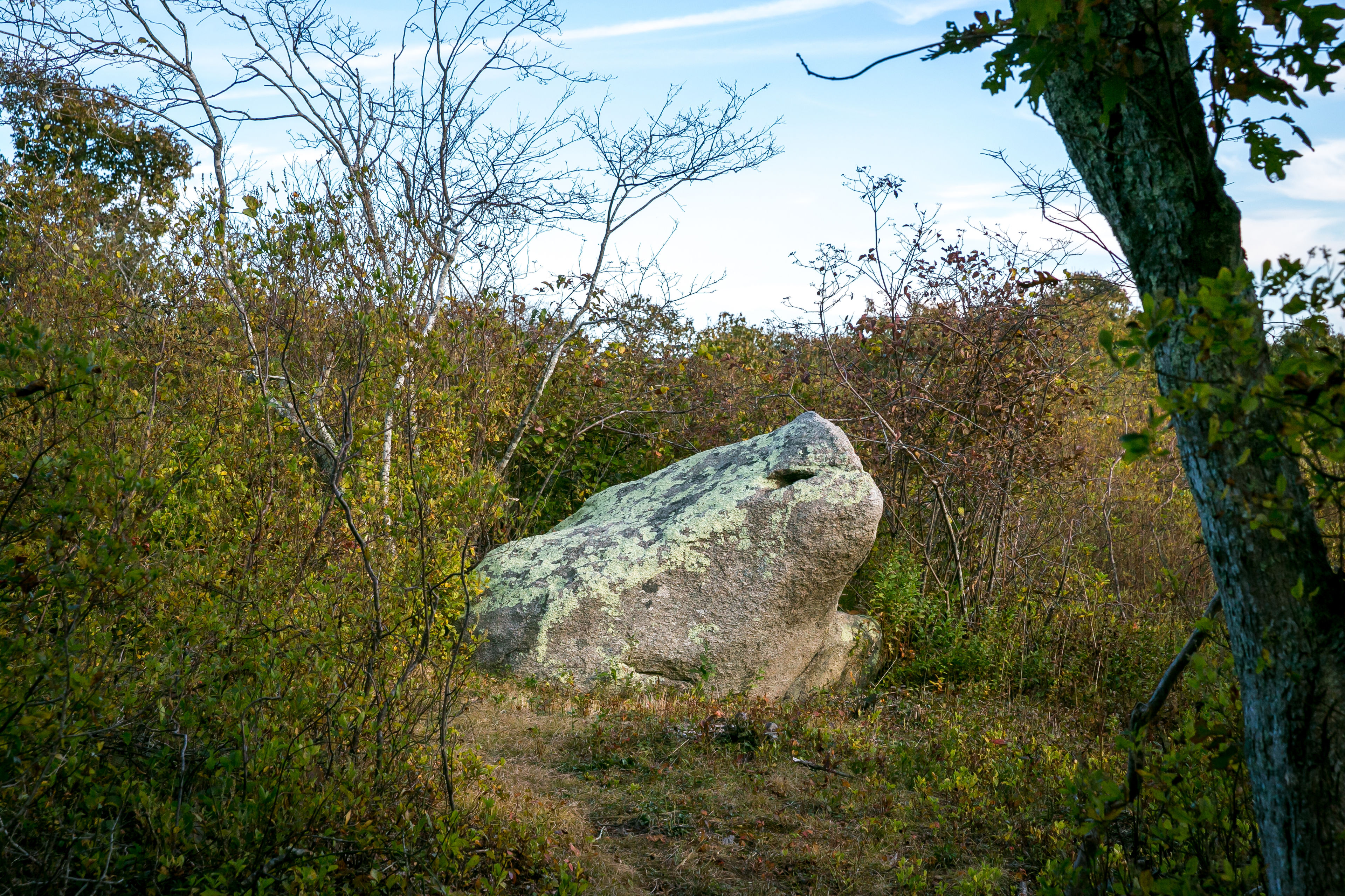 Toad Rock