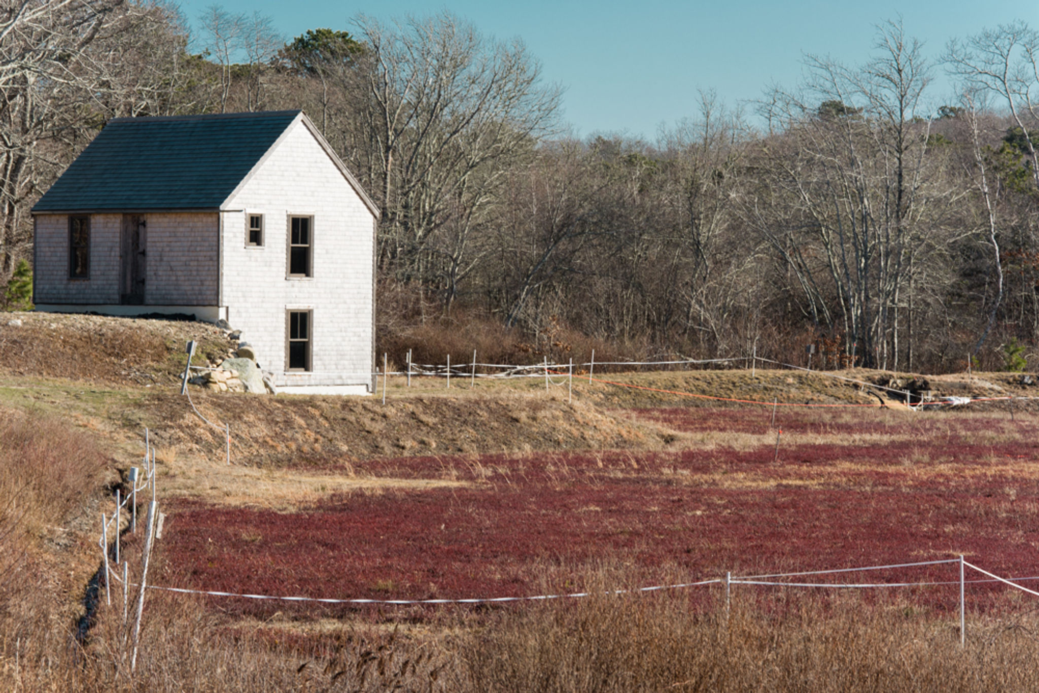 Cranberry processing shed and bogs