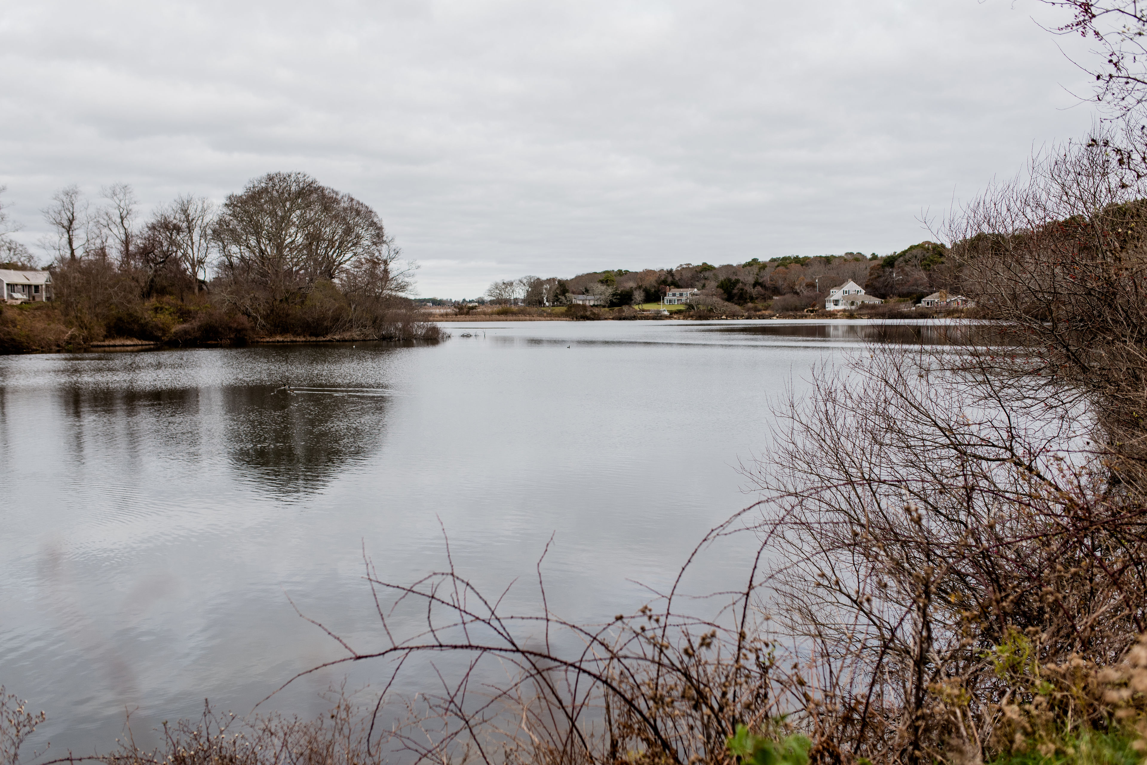 view down Lagoon Pond