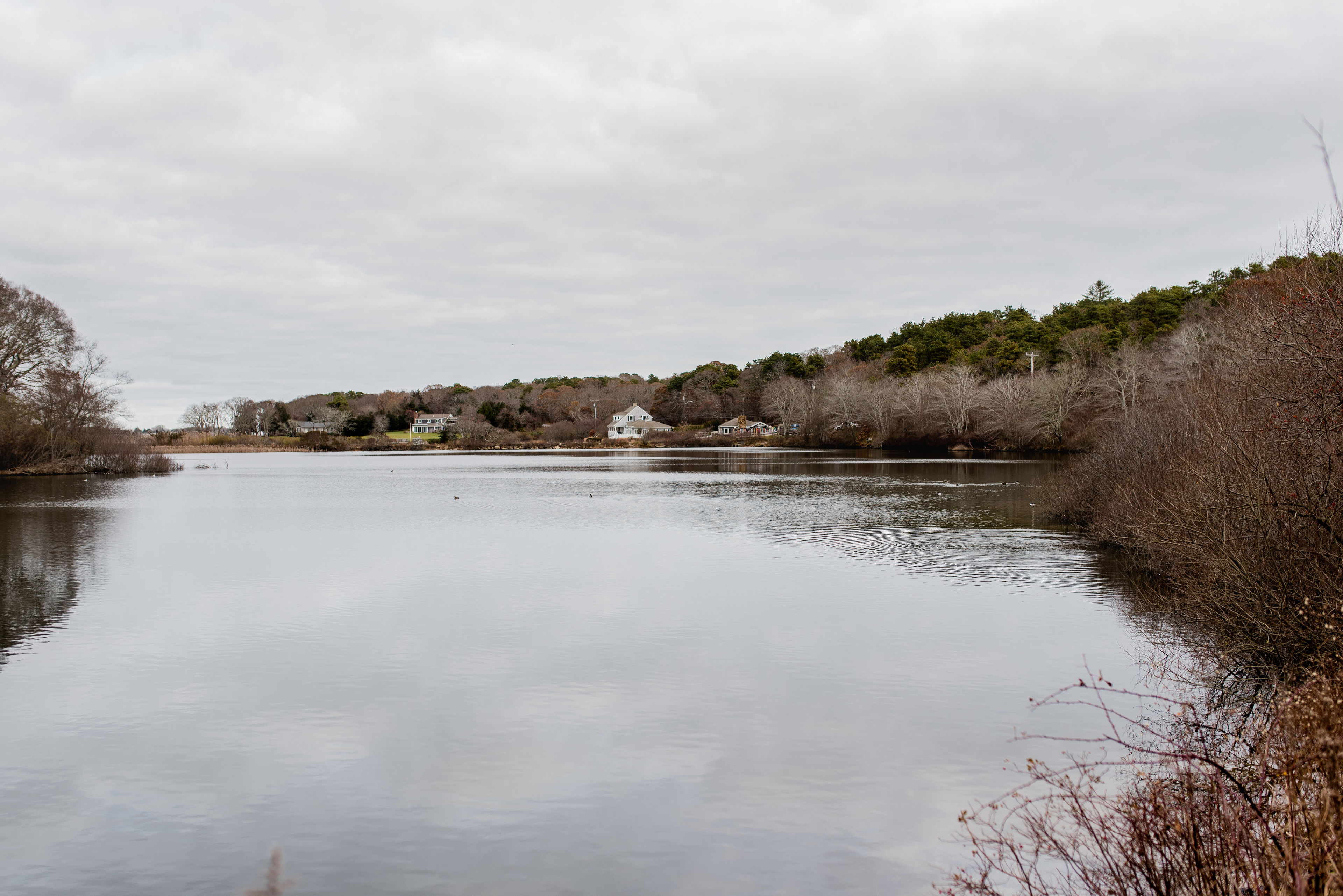 view down Lagoon Pond