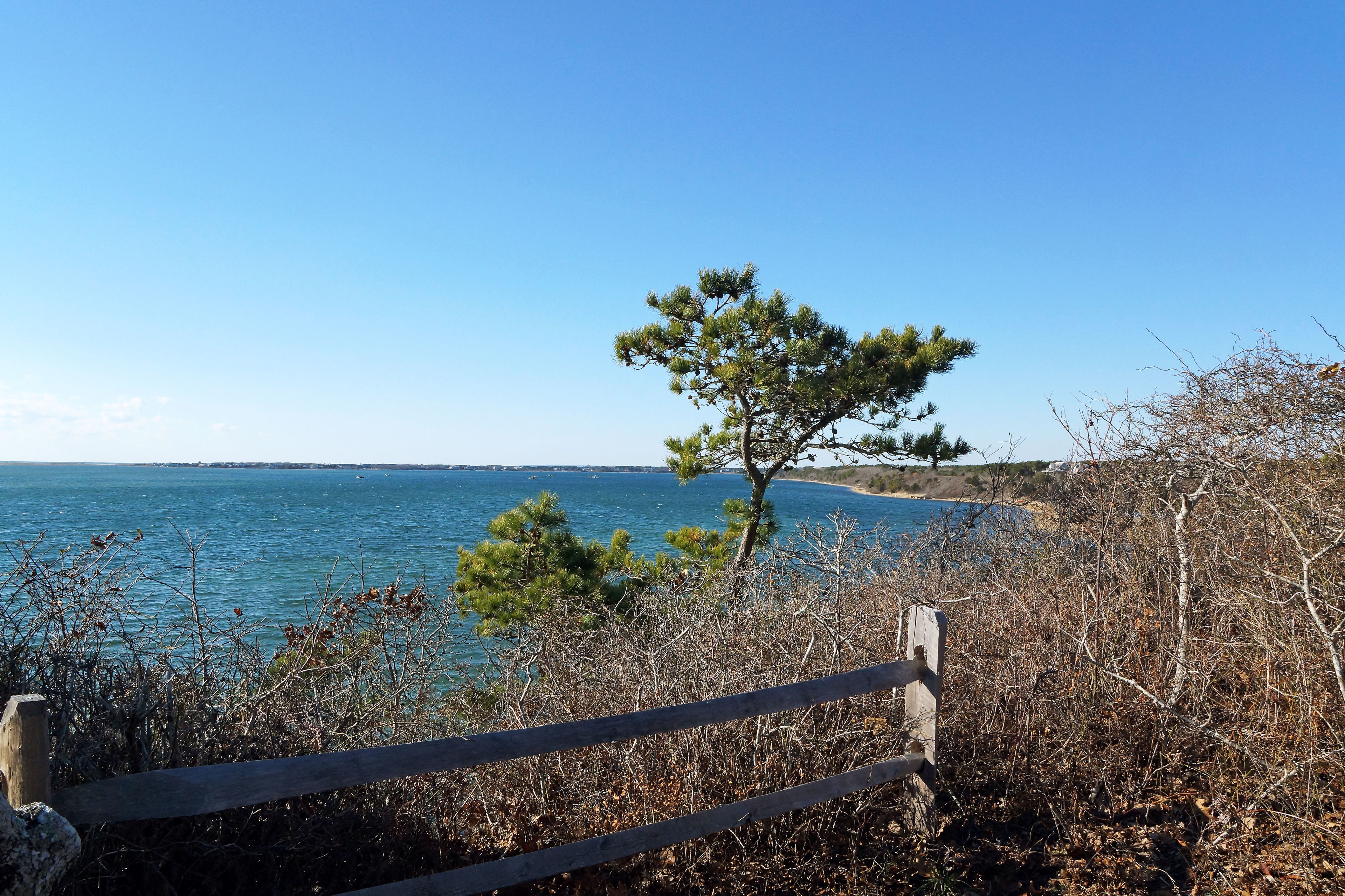 Katama Bay