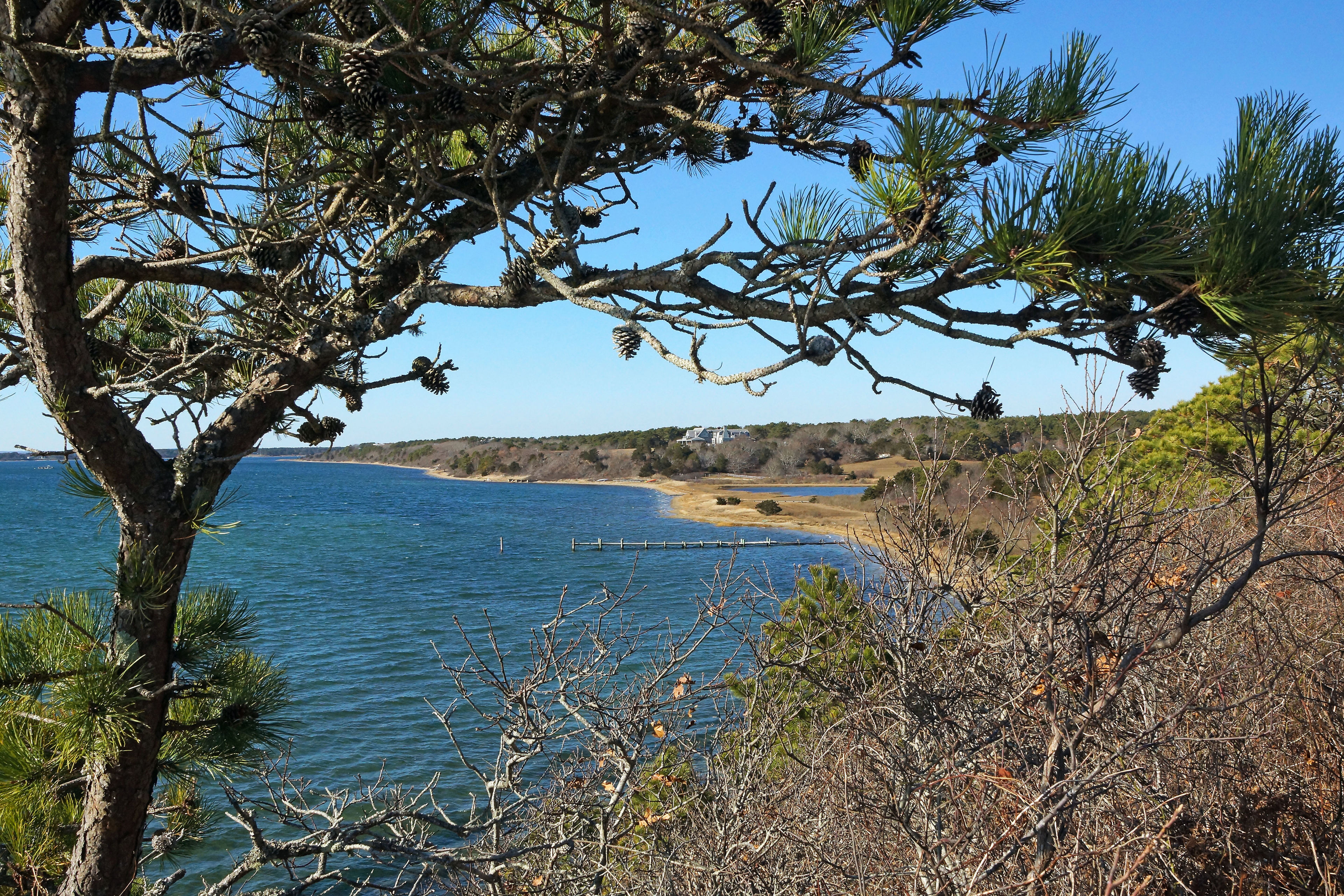 view to Katama Bay