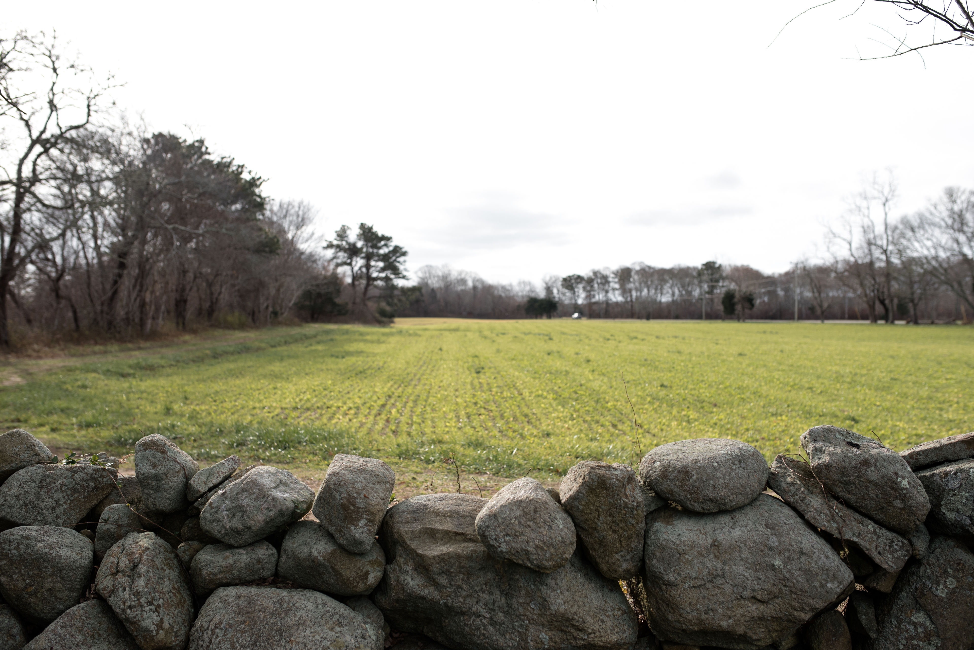 field view