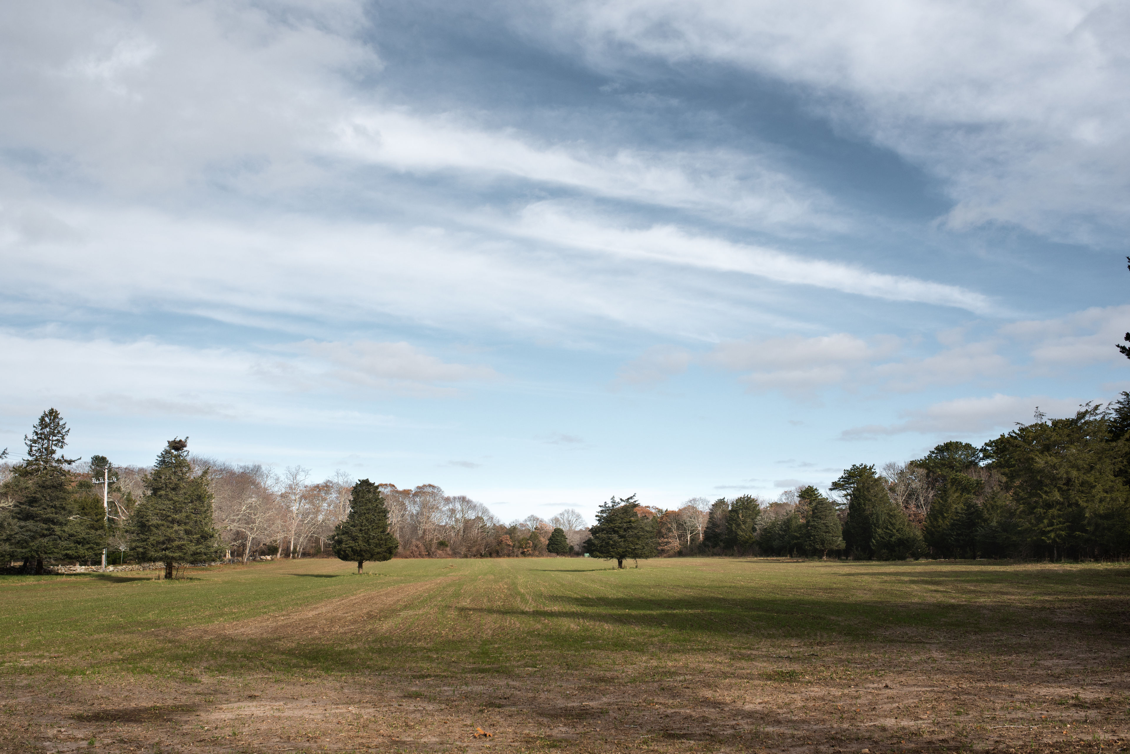 field view