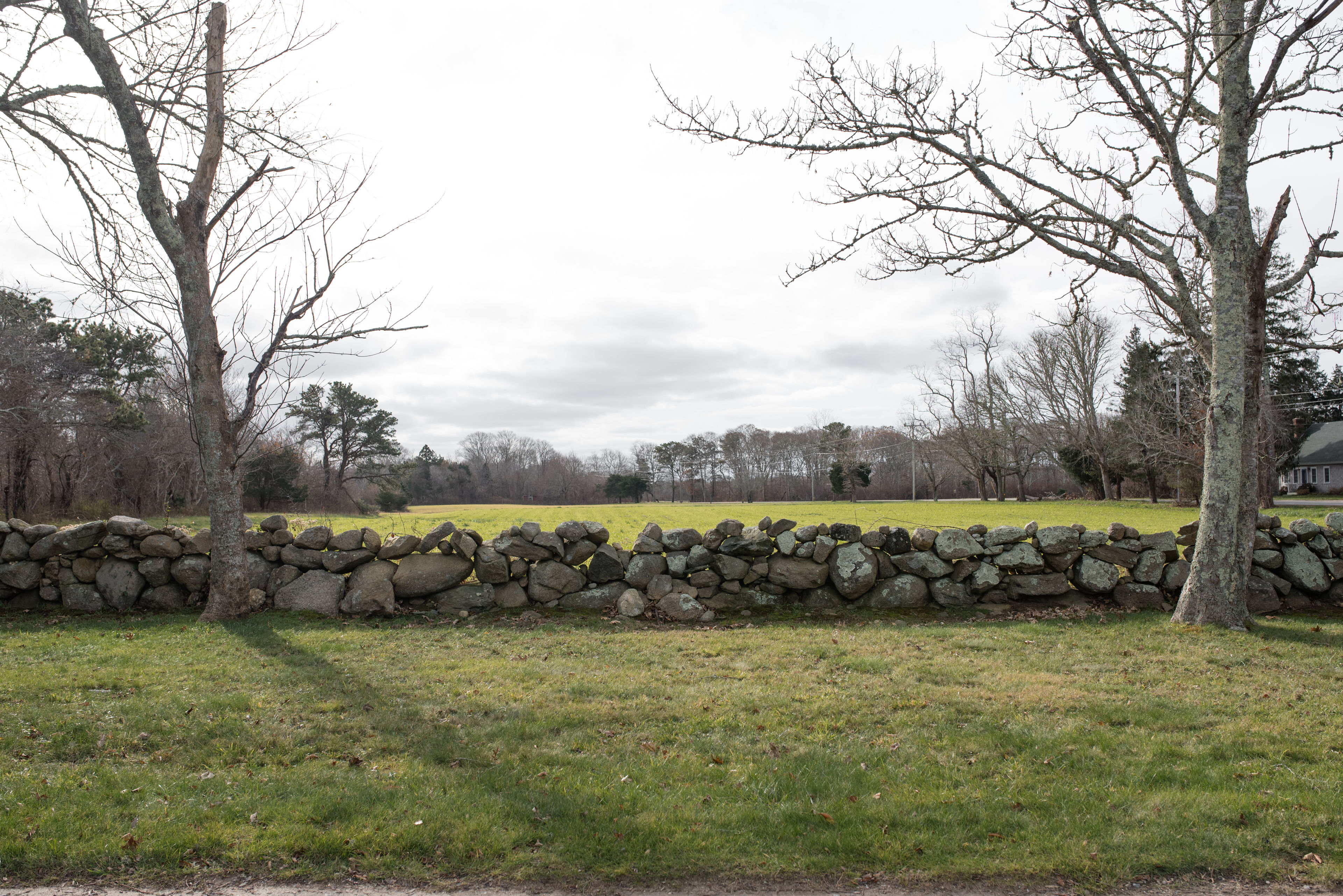 stone wall in fields