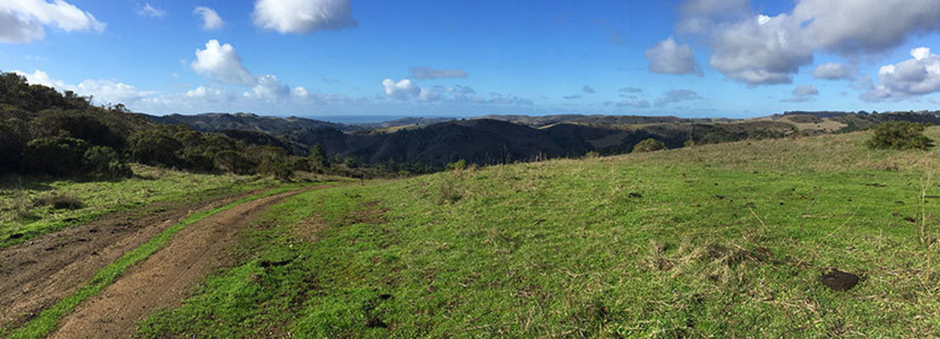 Harrington Creek Trail