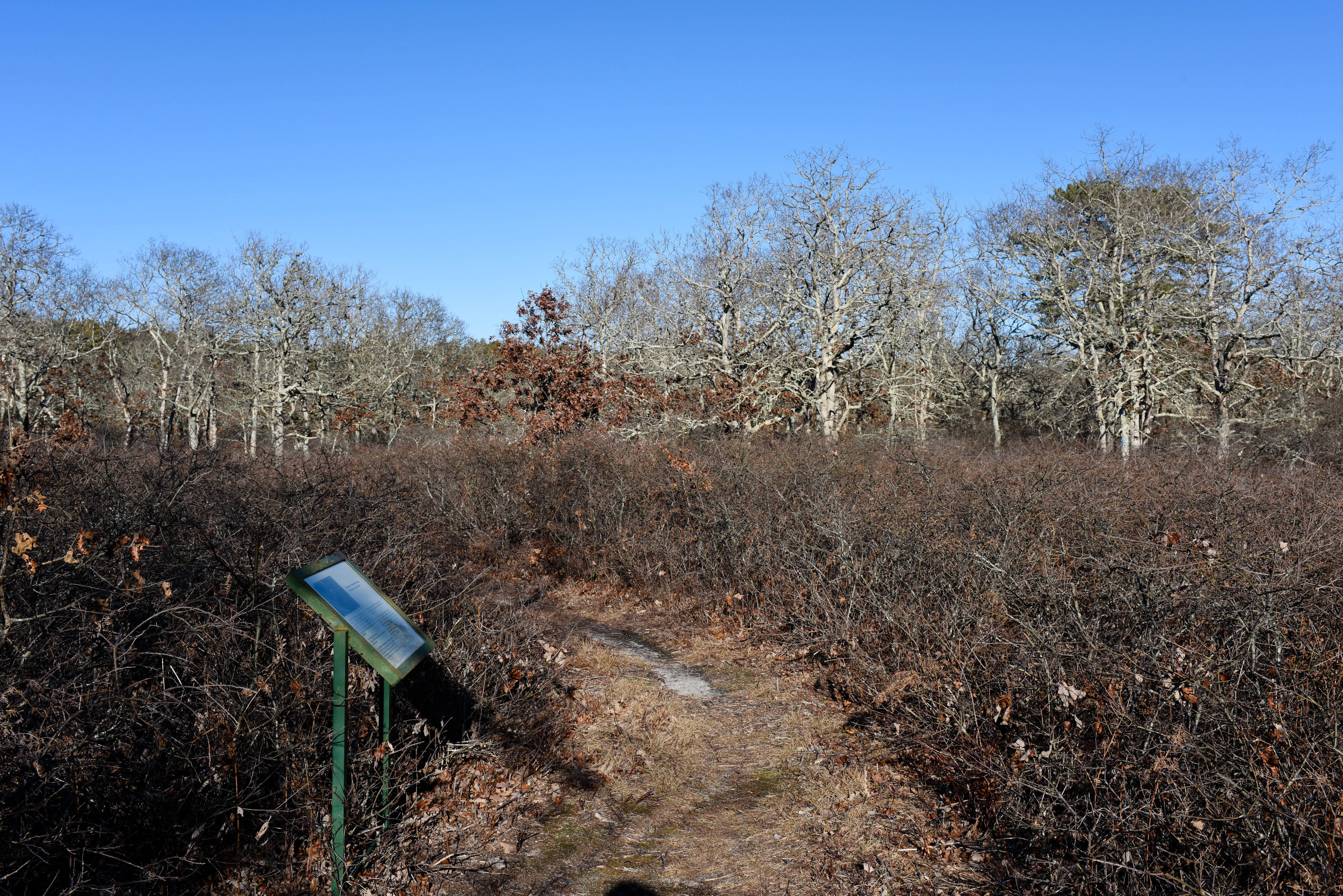 loop fire trail