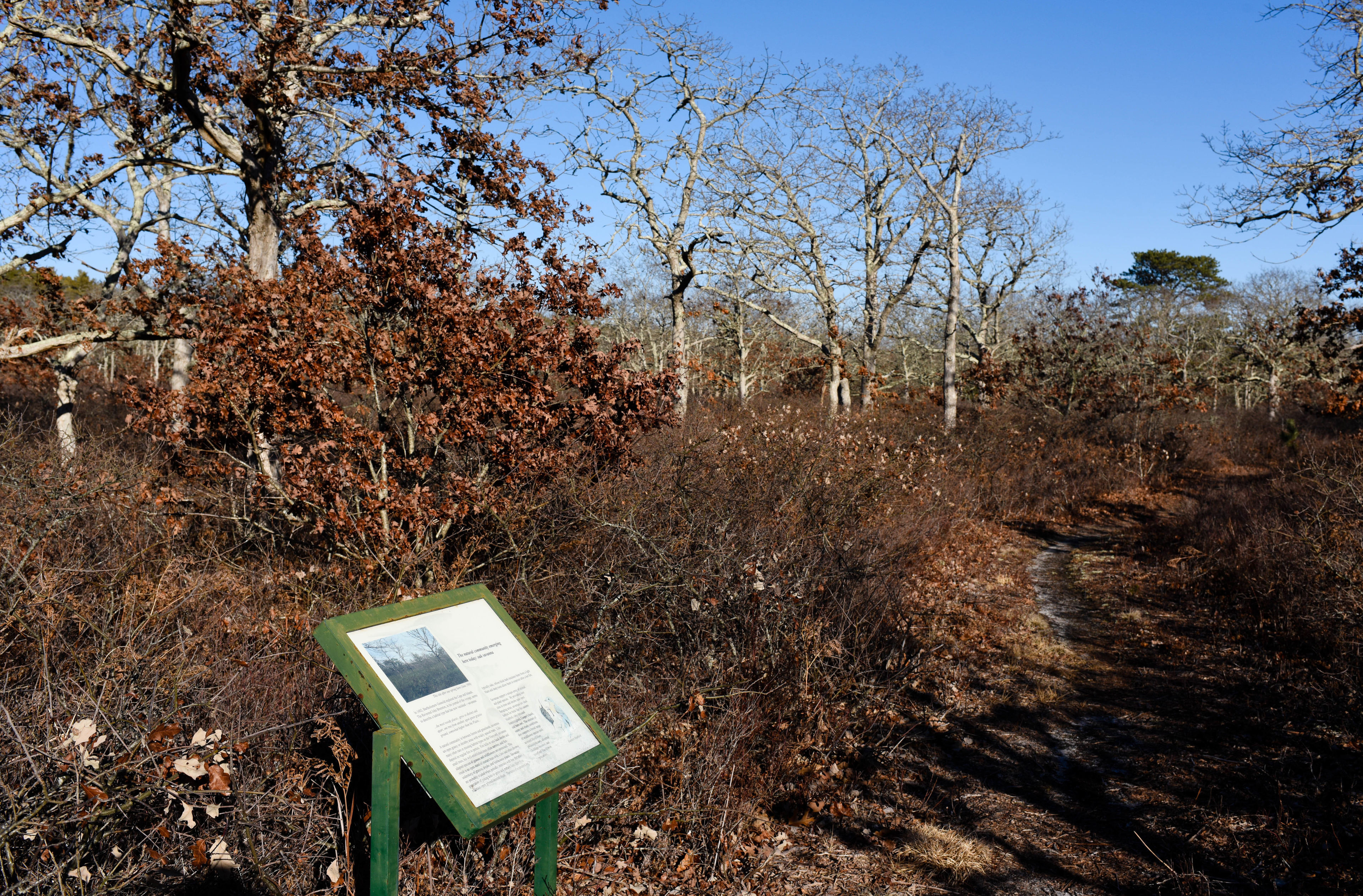 trail sign board